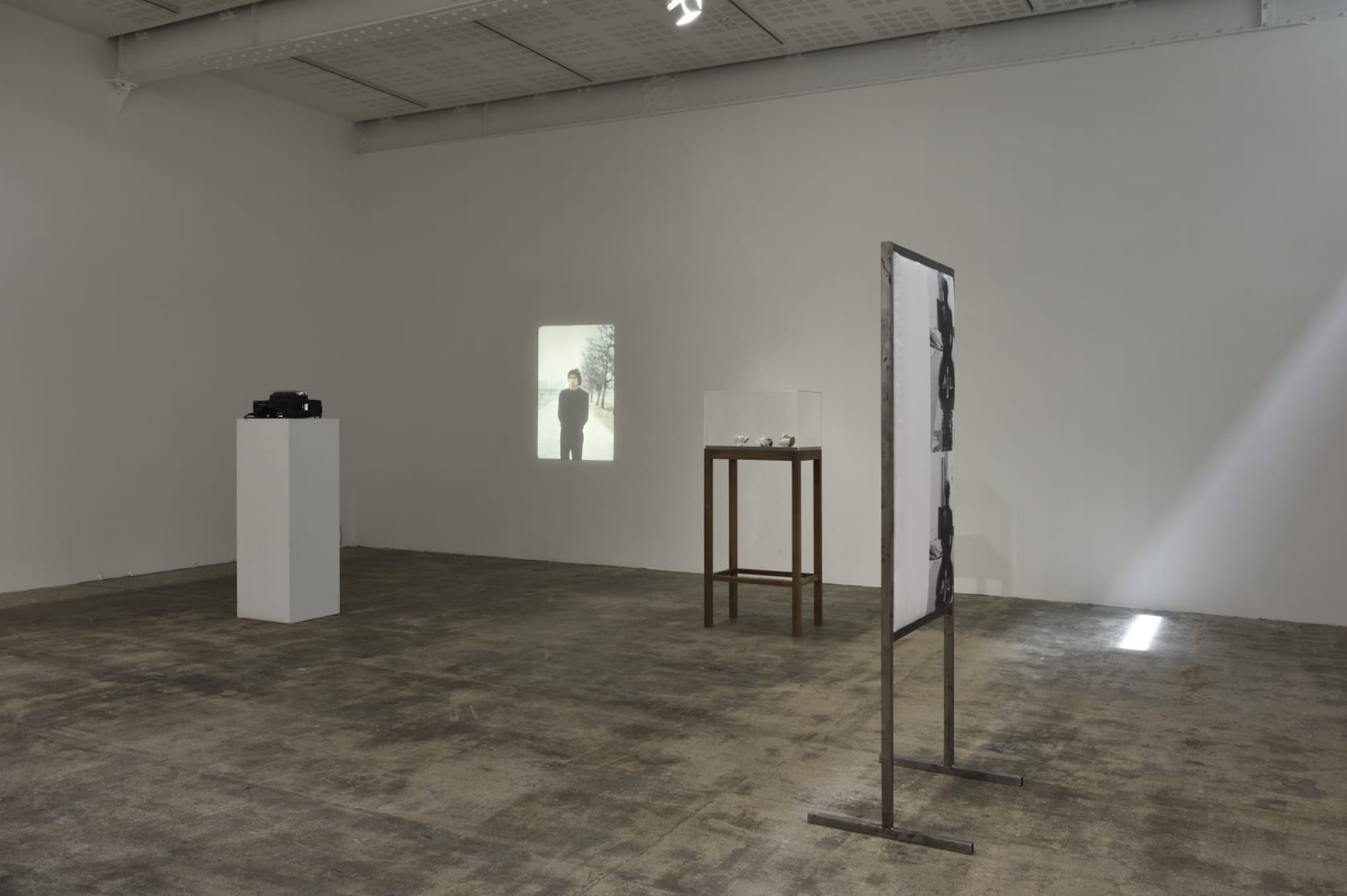 An exhibition installation view from: Pure Fiction, Curated by Julie Boukobza