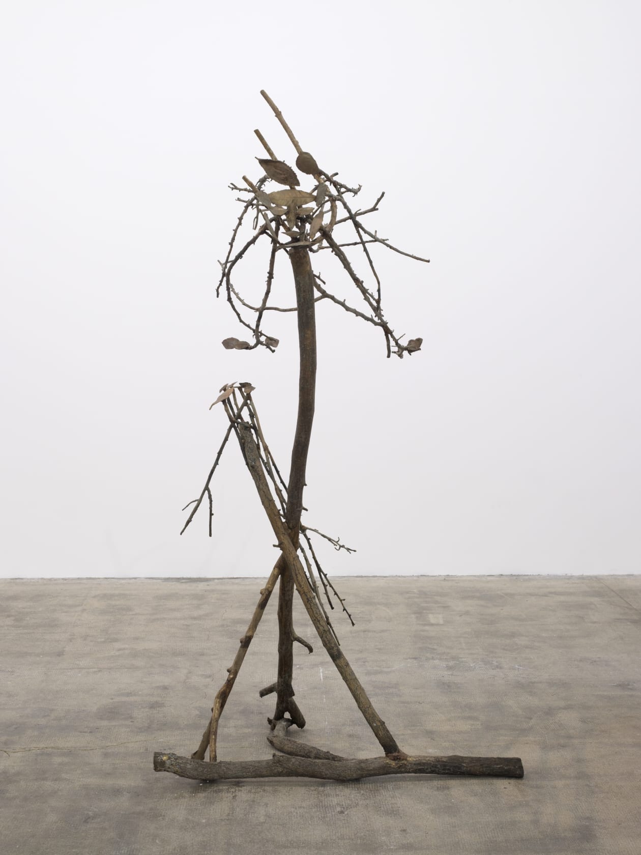 An exhibition installation view from: Giuseppe Penone, Le Corps d’un jardin