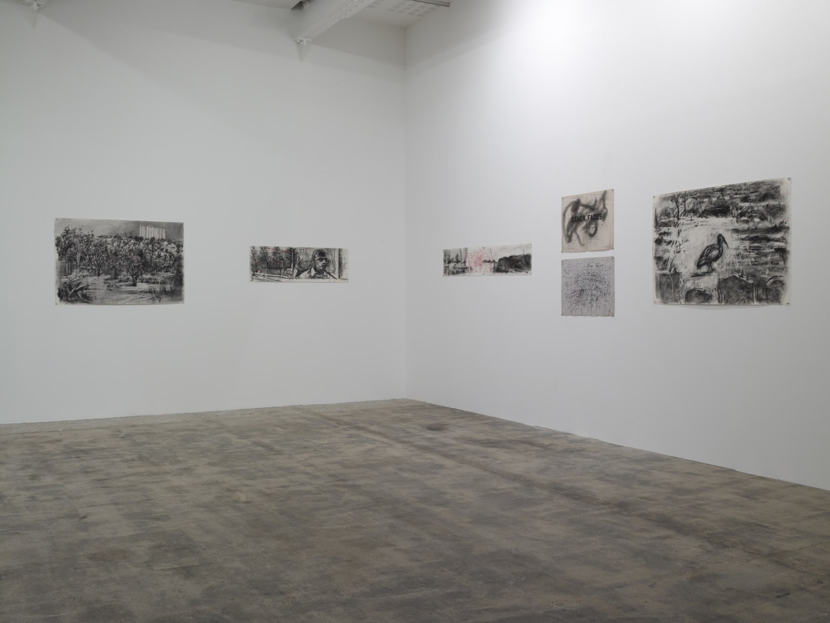 An exhibition installation view from: Tacita Dean, William Kentridge, Gabriel Orozco, Giuseppe Penone, Niele Toroni, Lawrence Weiner
