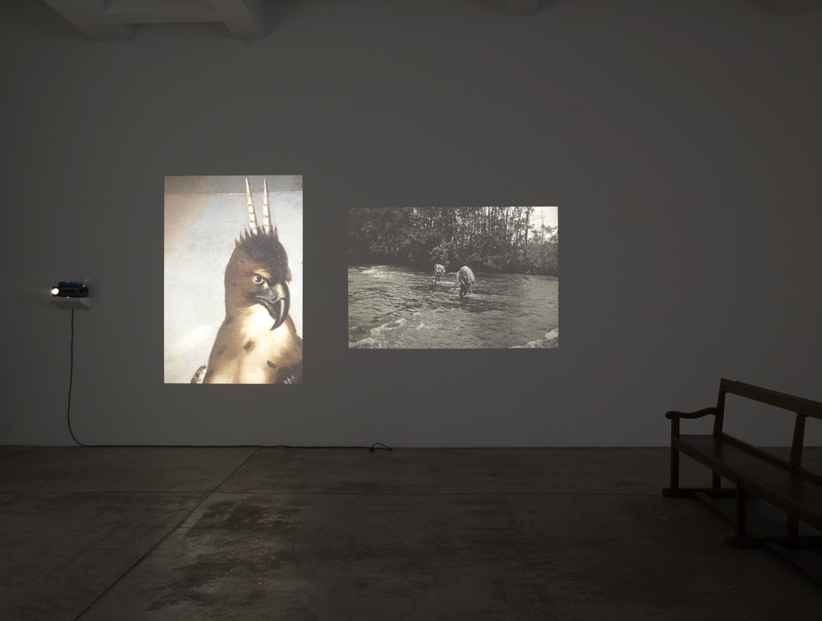 An exhibition installation view from: Lothar Baumgarten