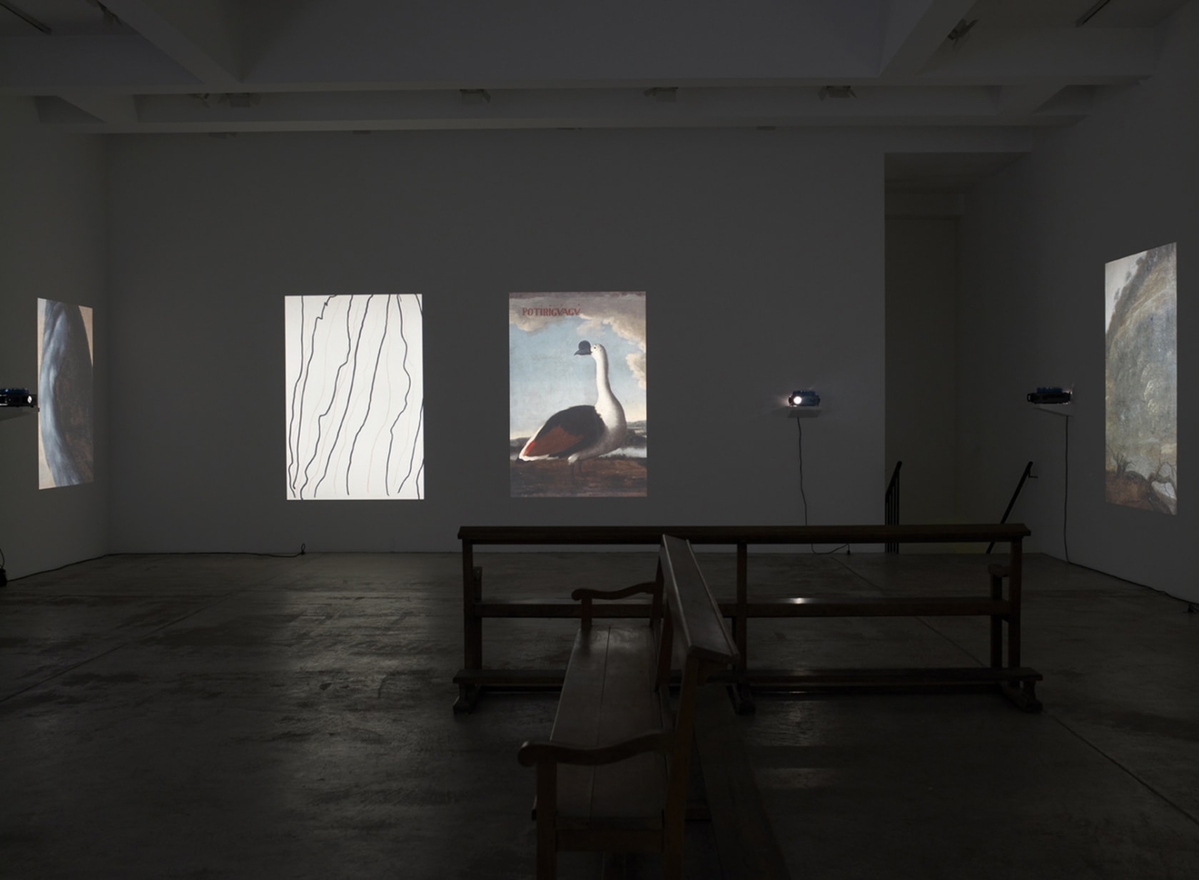 An exhibition installation view from: Lothar Baumgarten
