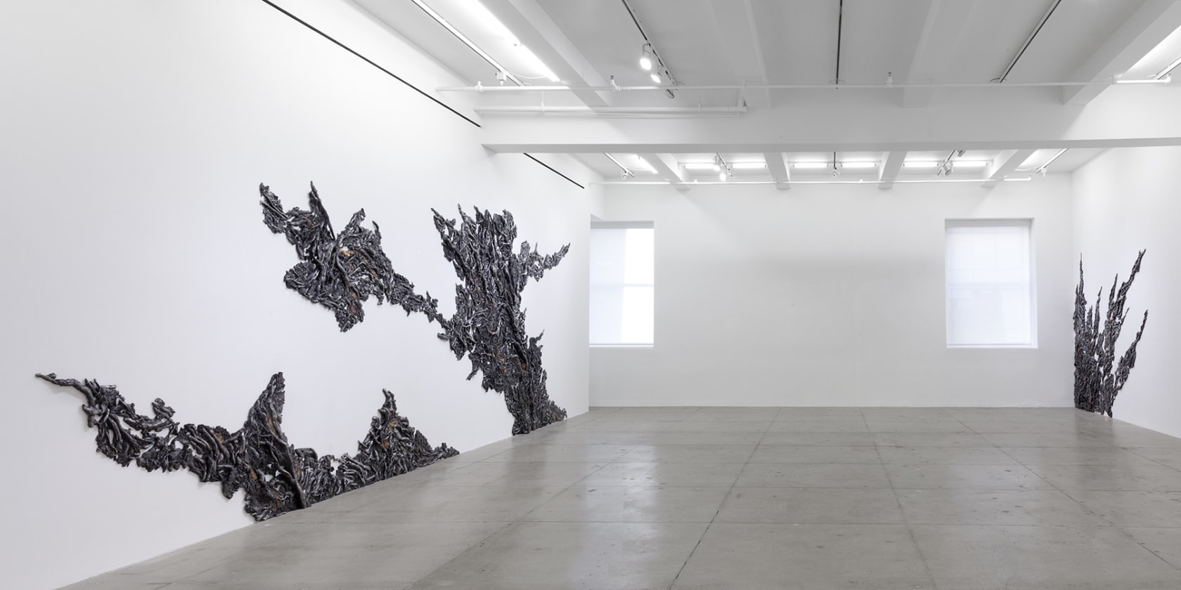 3 organic, plant-like forms climb up the gallery walls from the floor.