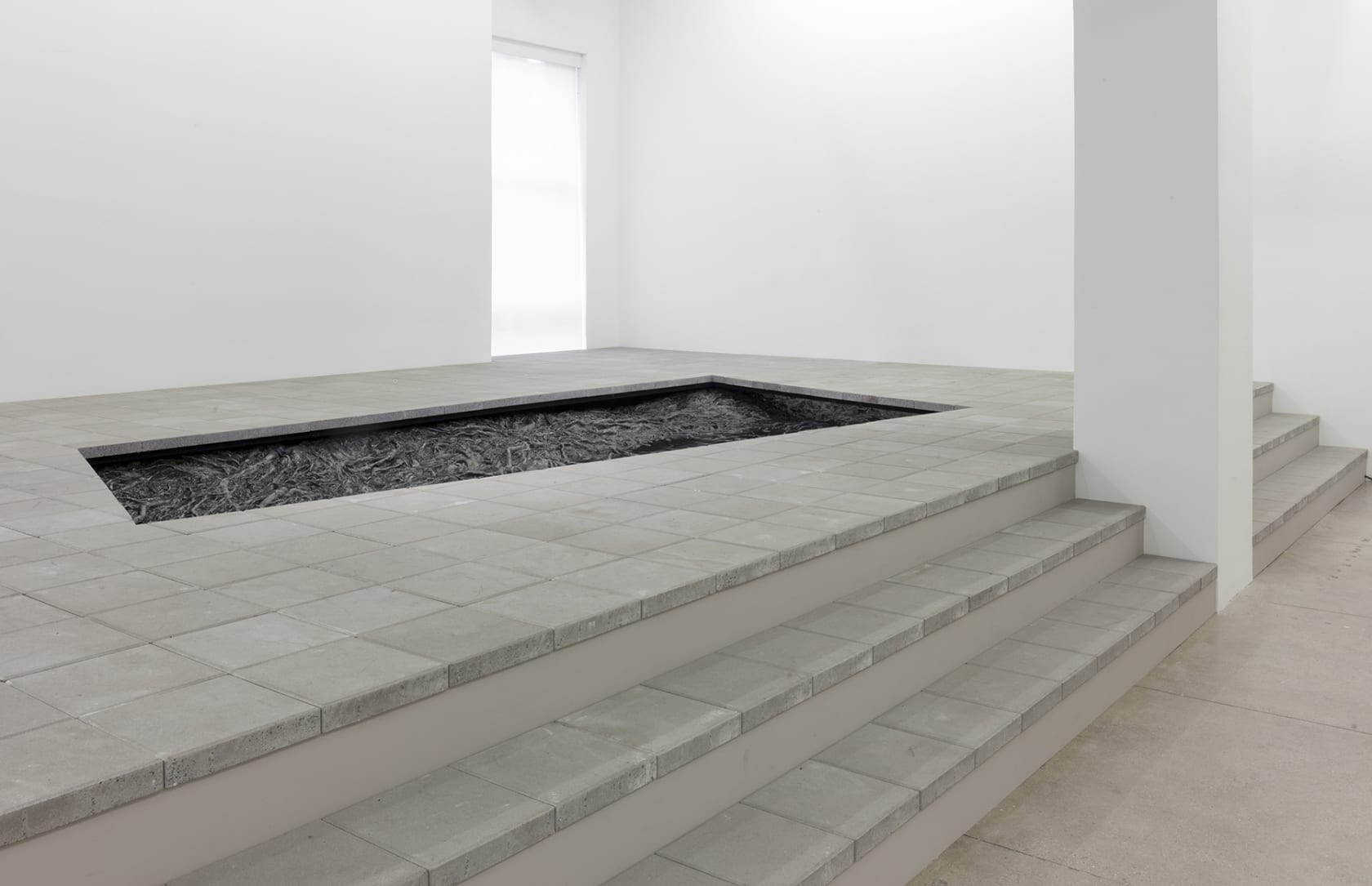 3 steps lead to a rectangular cut-out in the floor that appears to be filled with cast roots.