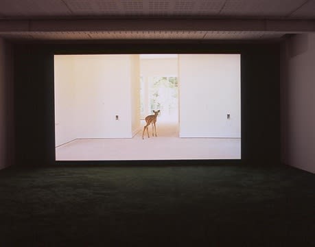 An exhibition installation view from: Pierre Huyghe, Streamside Day