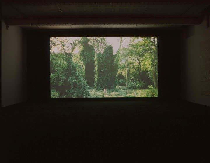 An exhibition installation view from: Pierre Huyghe, Streamside Day