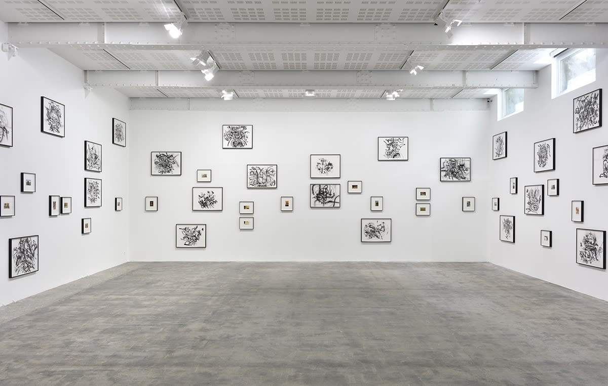 An exhibition installation view from: Tacita Dean, Julie Mehretu