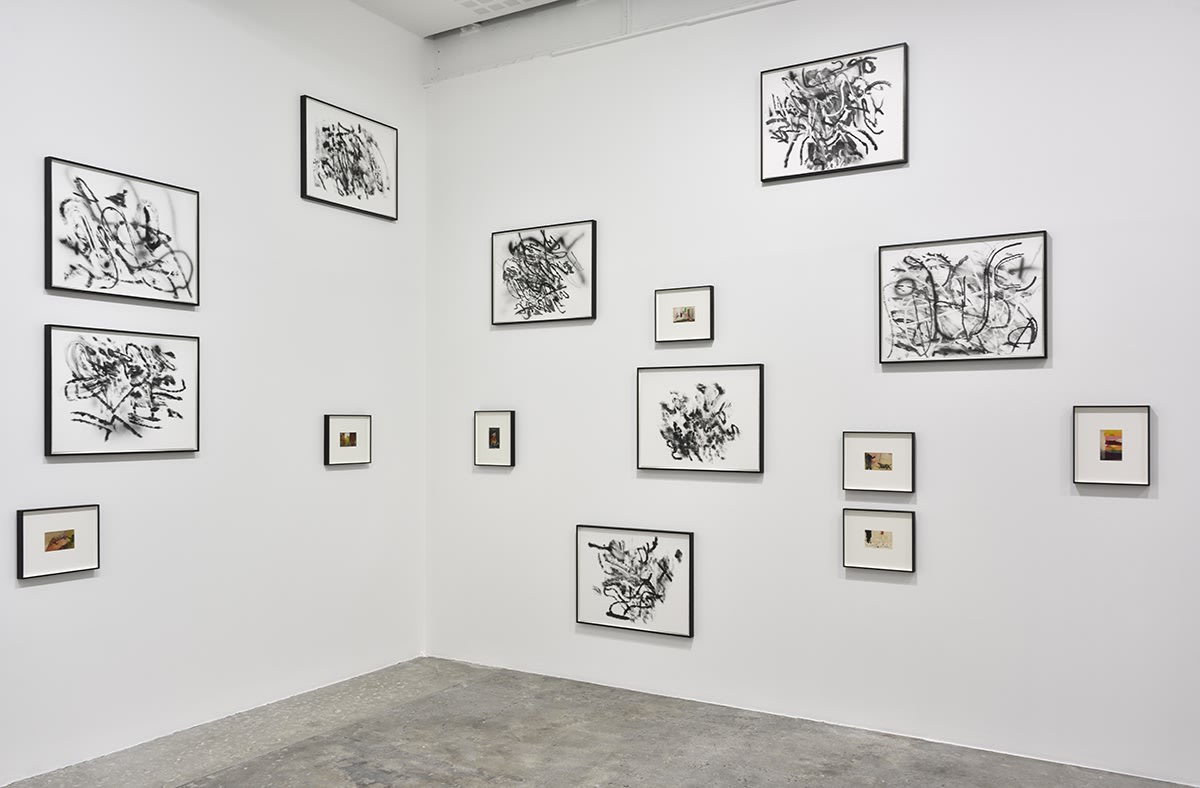 An exhibition installation view from: Tacita Dean, Julie Mehretu