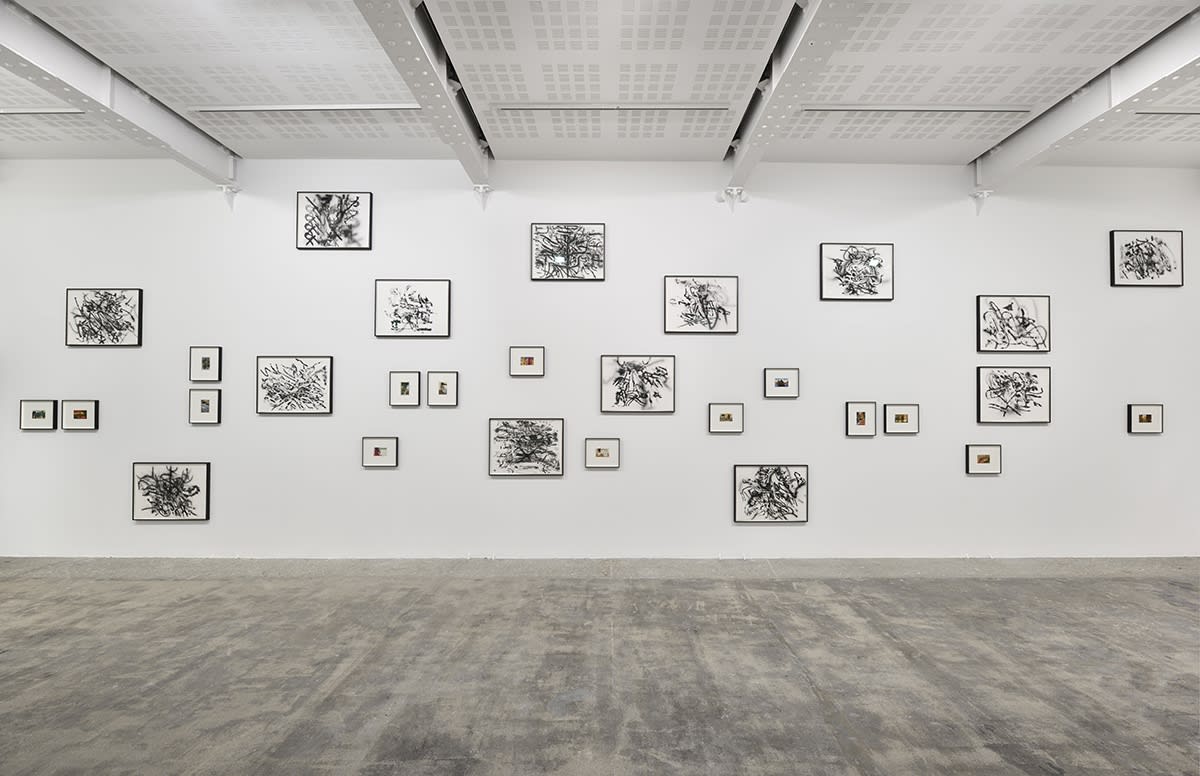 An exhibition installation view from: Tacita Dean, Julie Mehretu