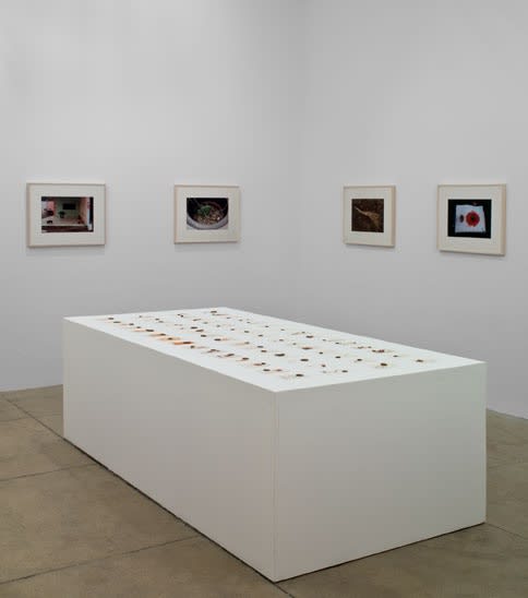 An exhibition installation view from: Gabriel Orozco