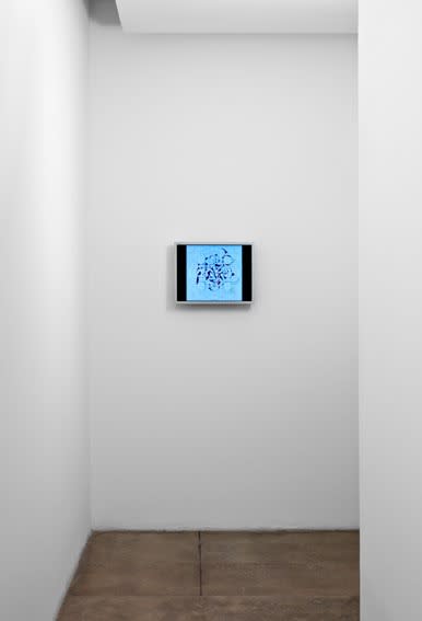 An exhibition installation view from: Gabriel Orozco