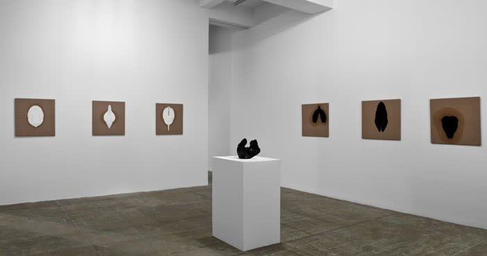 An exhibition installation view from: Gabriel Orozco