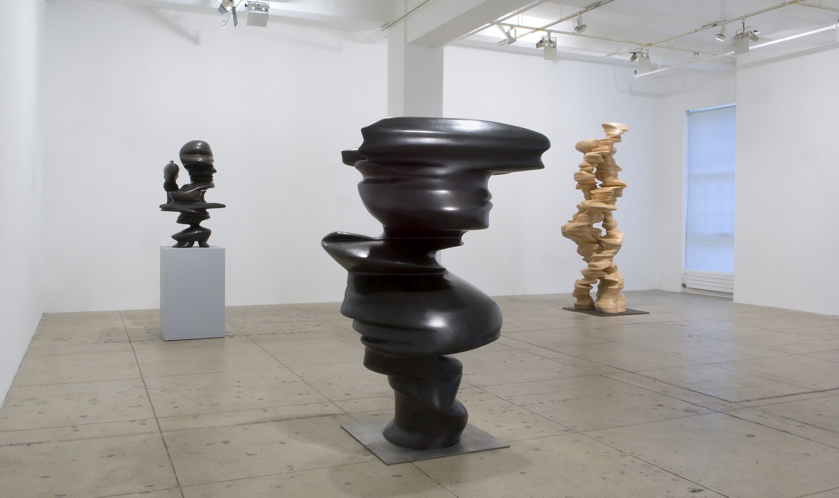 An exhibition installation view from: Tony Cragg