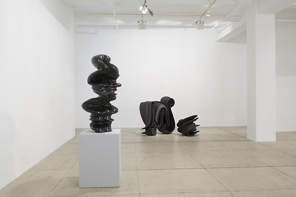 An exhibition installation view from: Tony Cragg