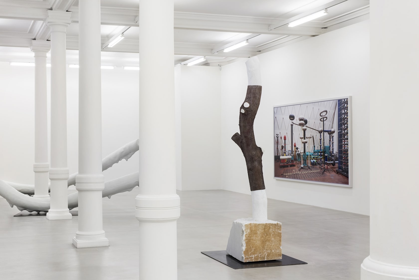 A sculpture of the cut section of a tree trunk sits in the center of the gallery.