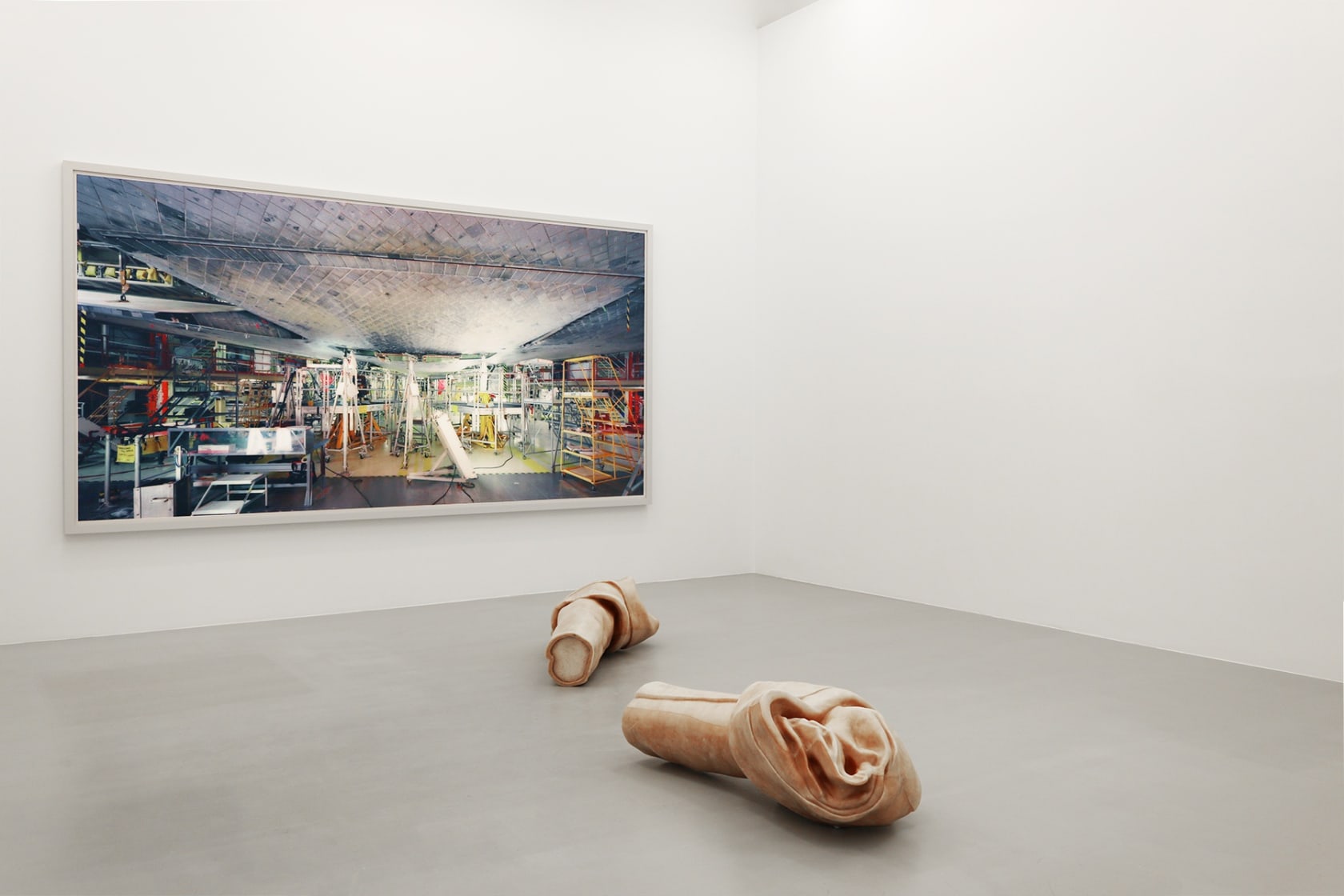 A large color photograph hangs on the wall behind a sculpture of a large rawhide bone cut in half.