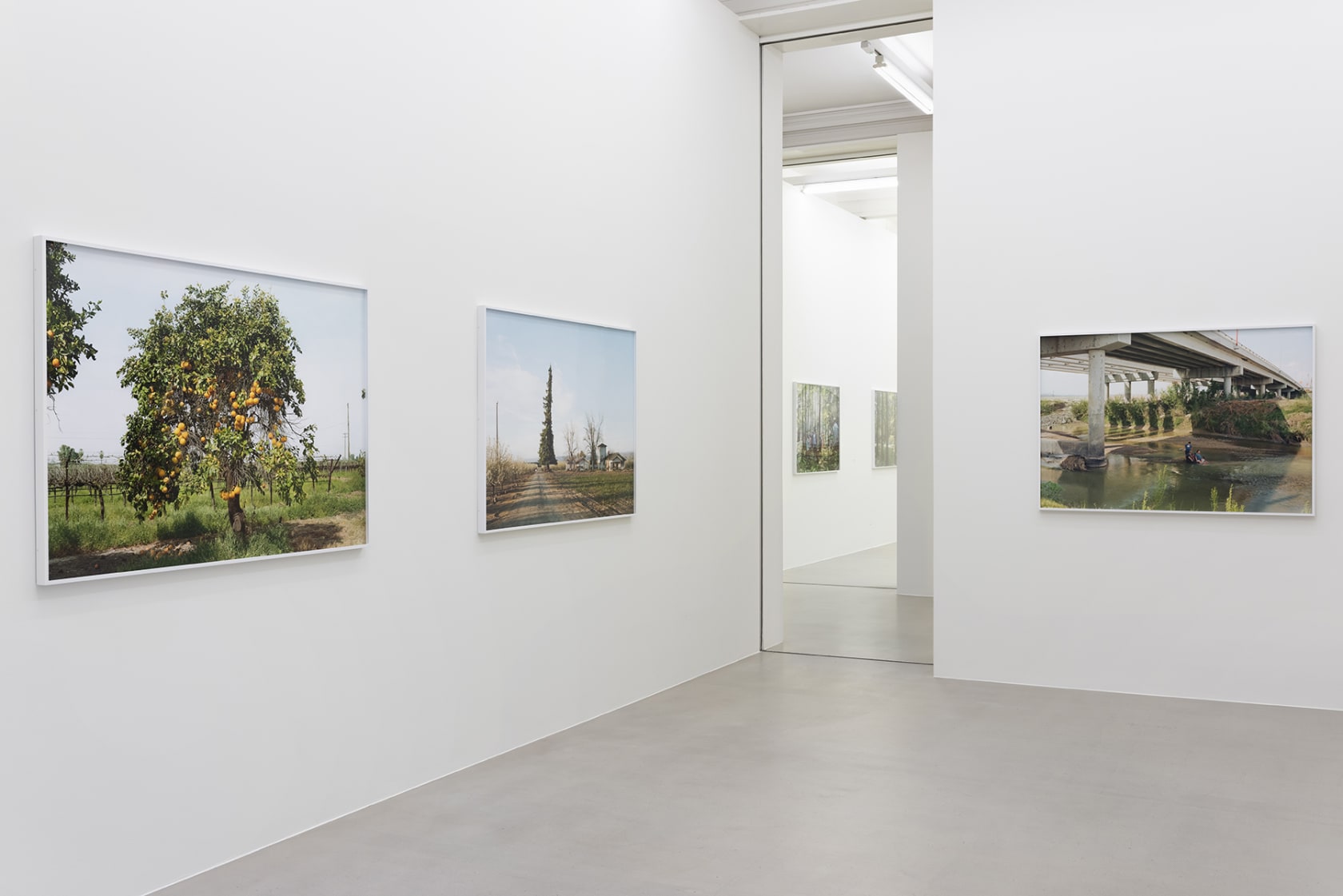 An exhibition installation view from: An-My Lê, Silent General