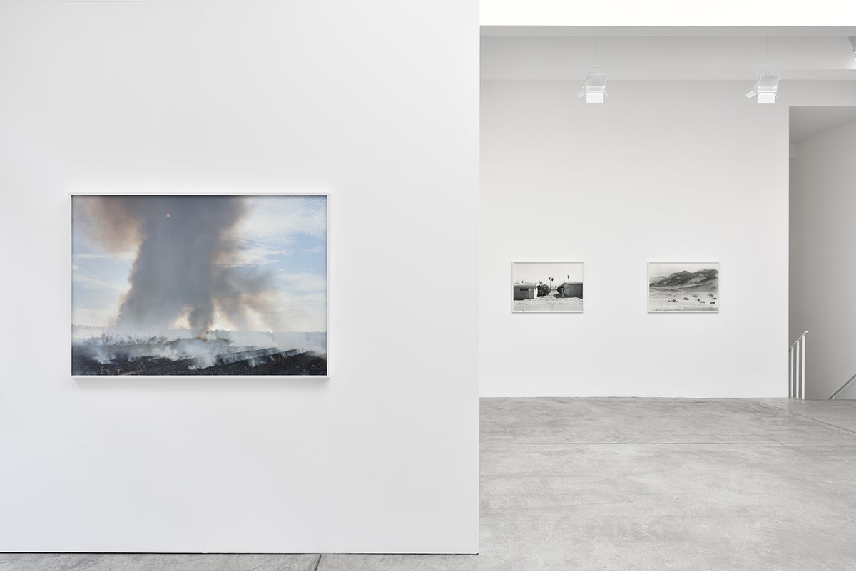 An exhibition installation view from: An-My Lê