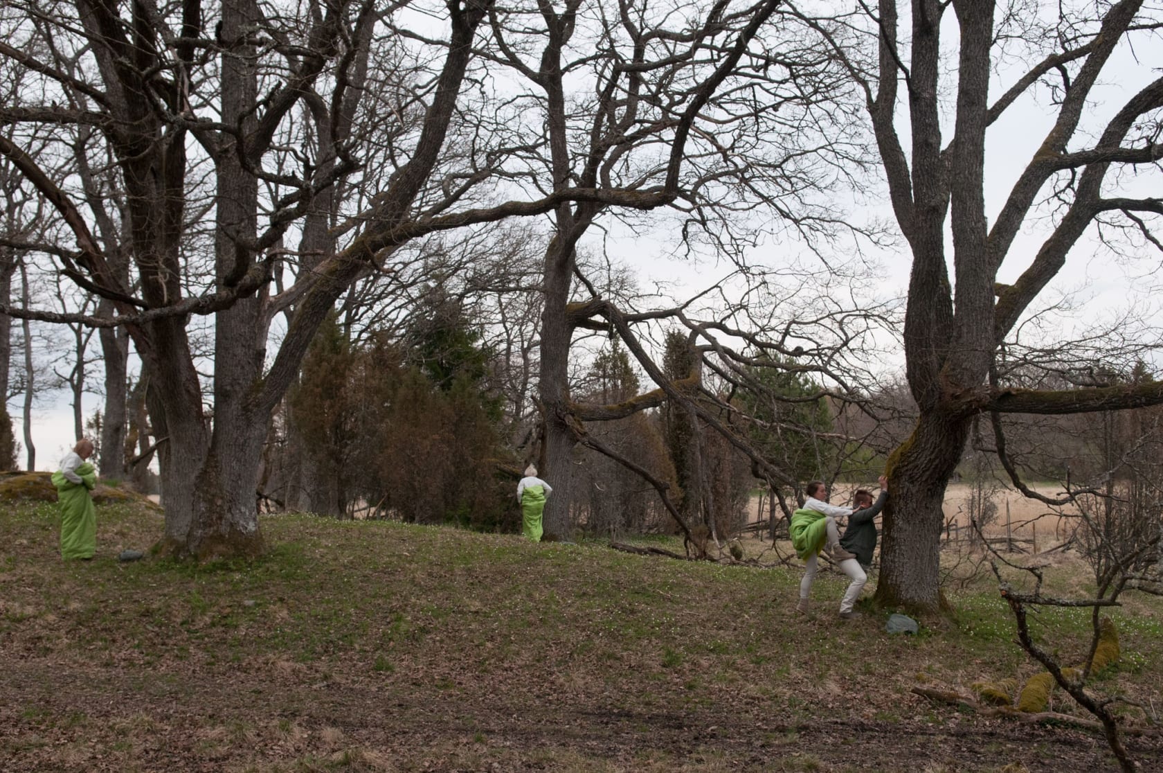 People adorned in lime green sleeping bags move in forest landscape.