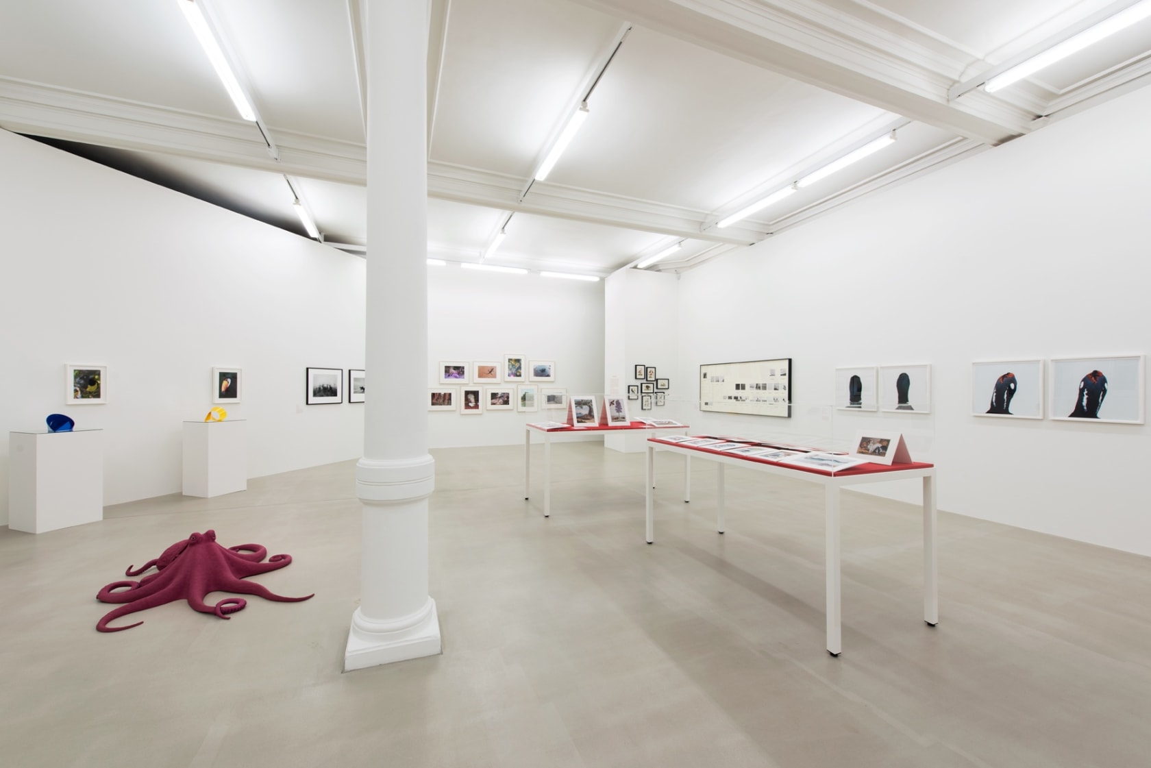 An exhibition installation view from: Animality