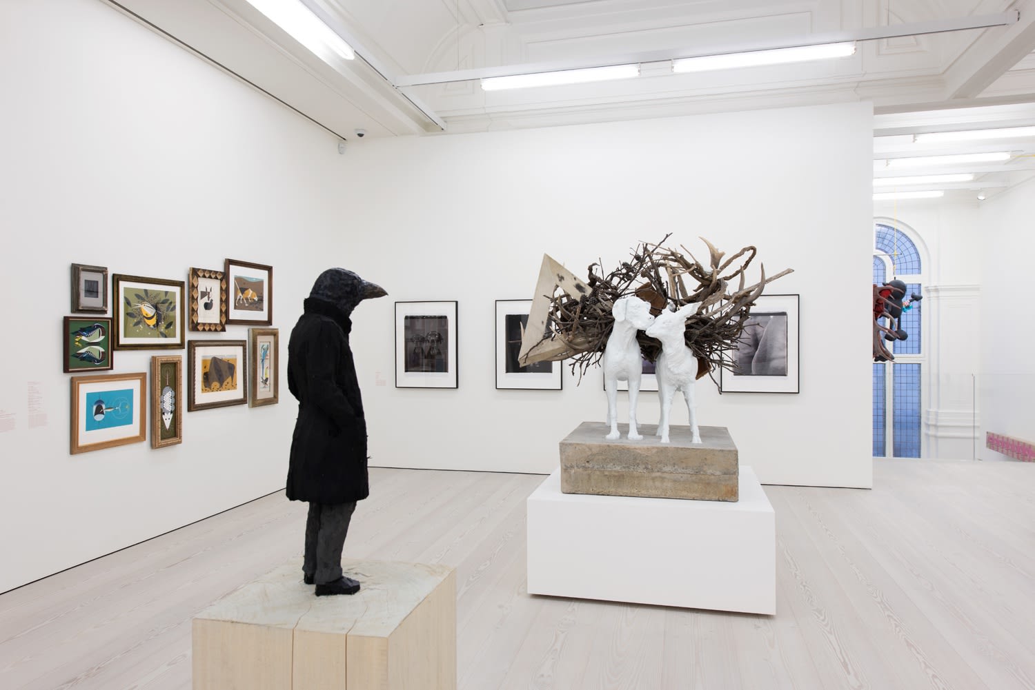 An exhibition installation view from: Animality