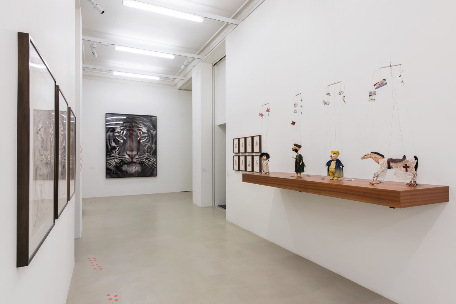 An exhibition installation view from: Animality