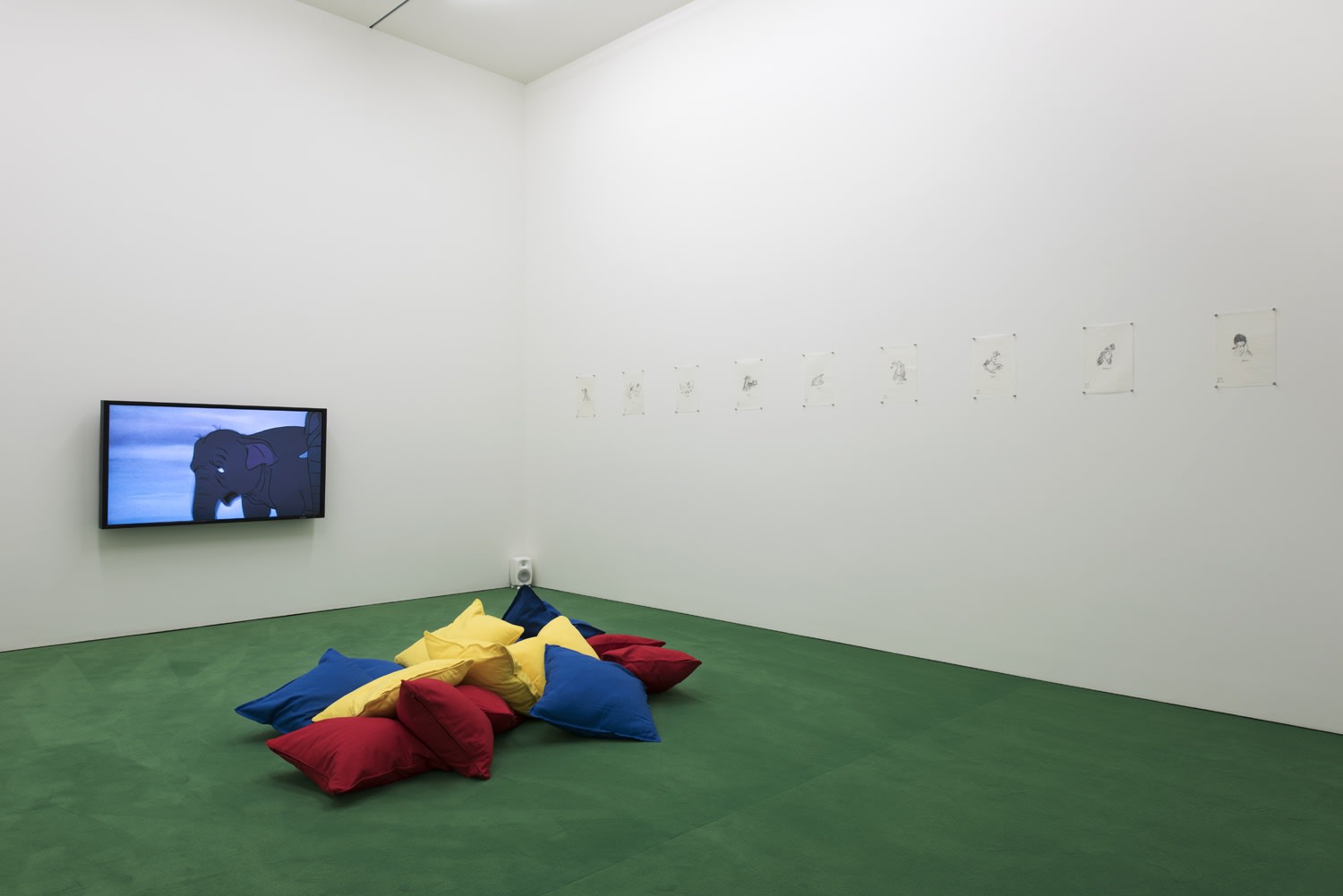 An exhibition installation view from: Animality