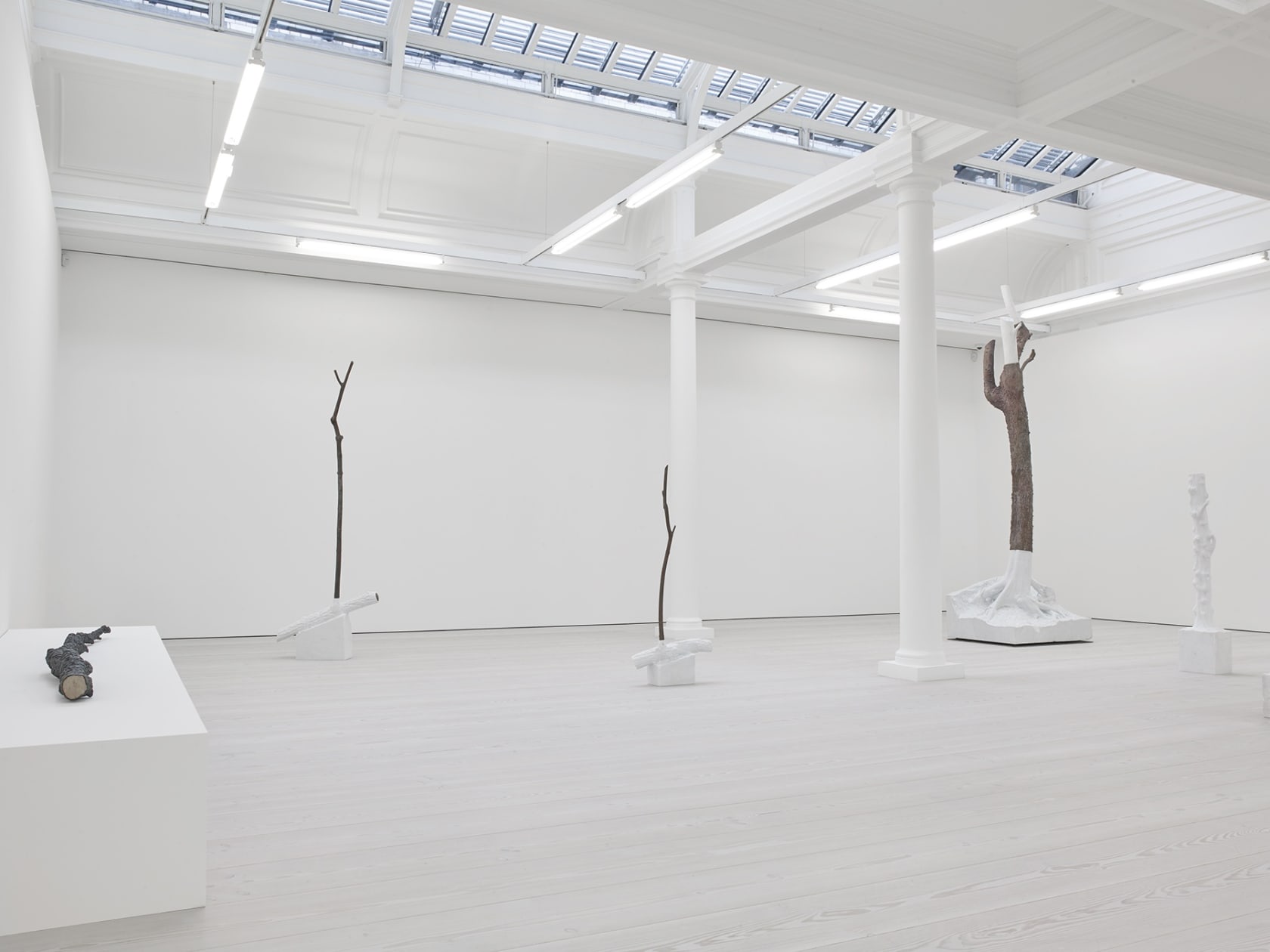 An exhibition installation view from: Giuseppe Penone, Fui, Sarò, Non sono (I was, I will be, I am not)