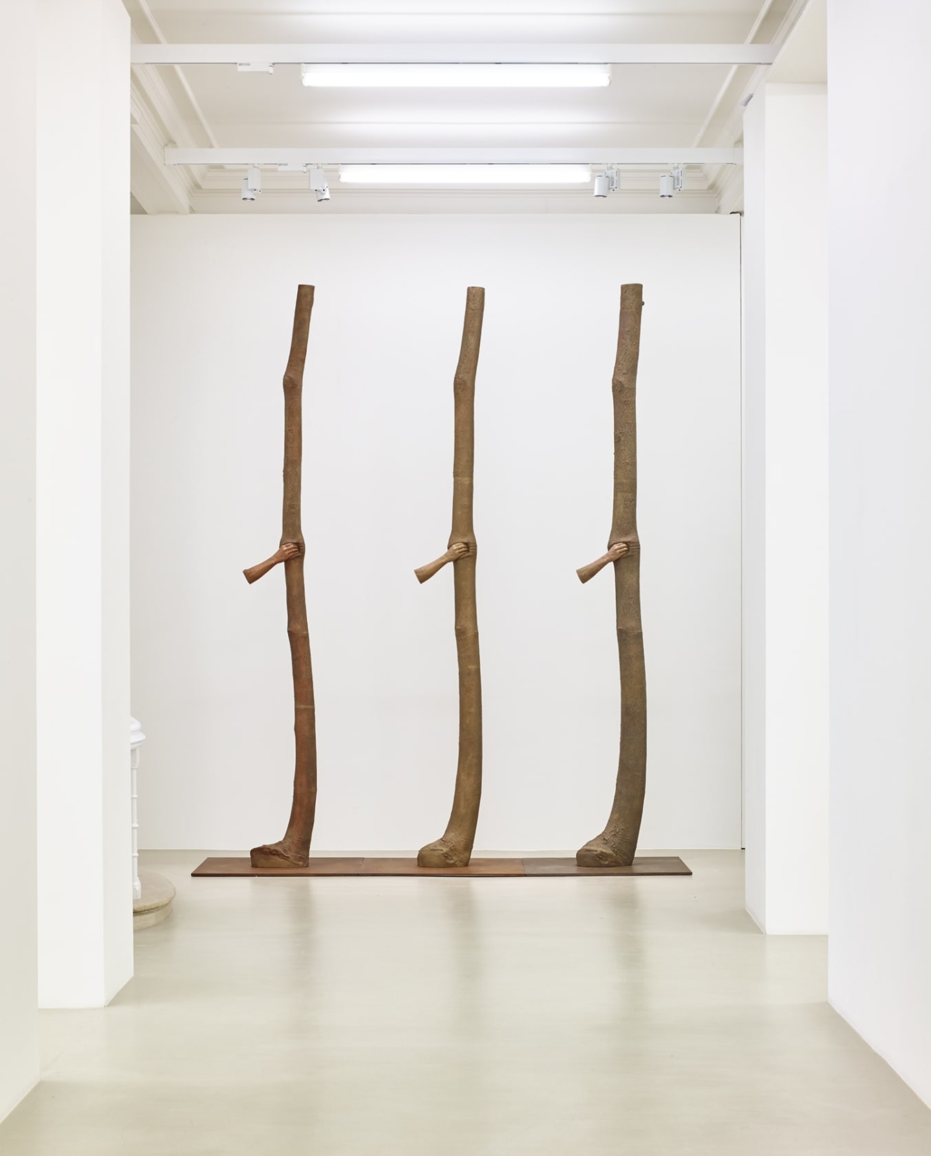 An exhibition installation view from: Giuseppe Penone, Fui, Sarò, Non sono (I was, I will be, I am not)