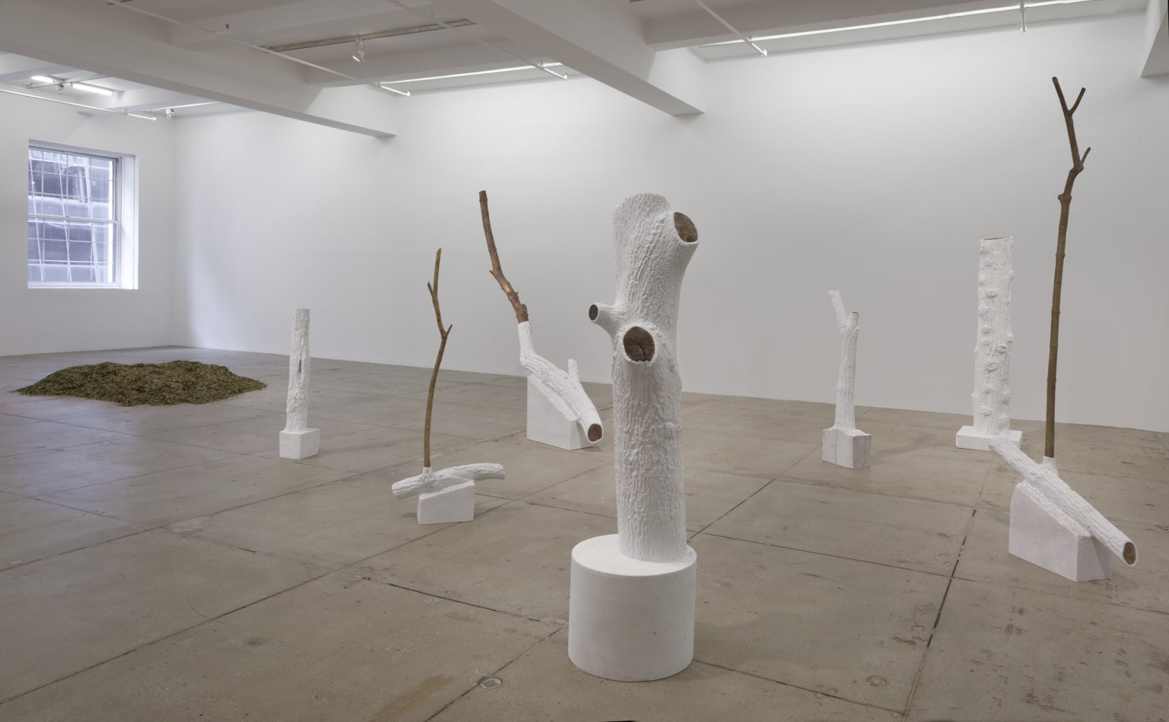 An exhibition installation view from: Giuseppe Penone