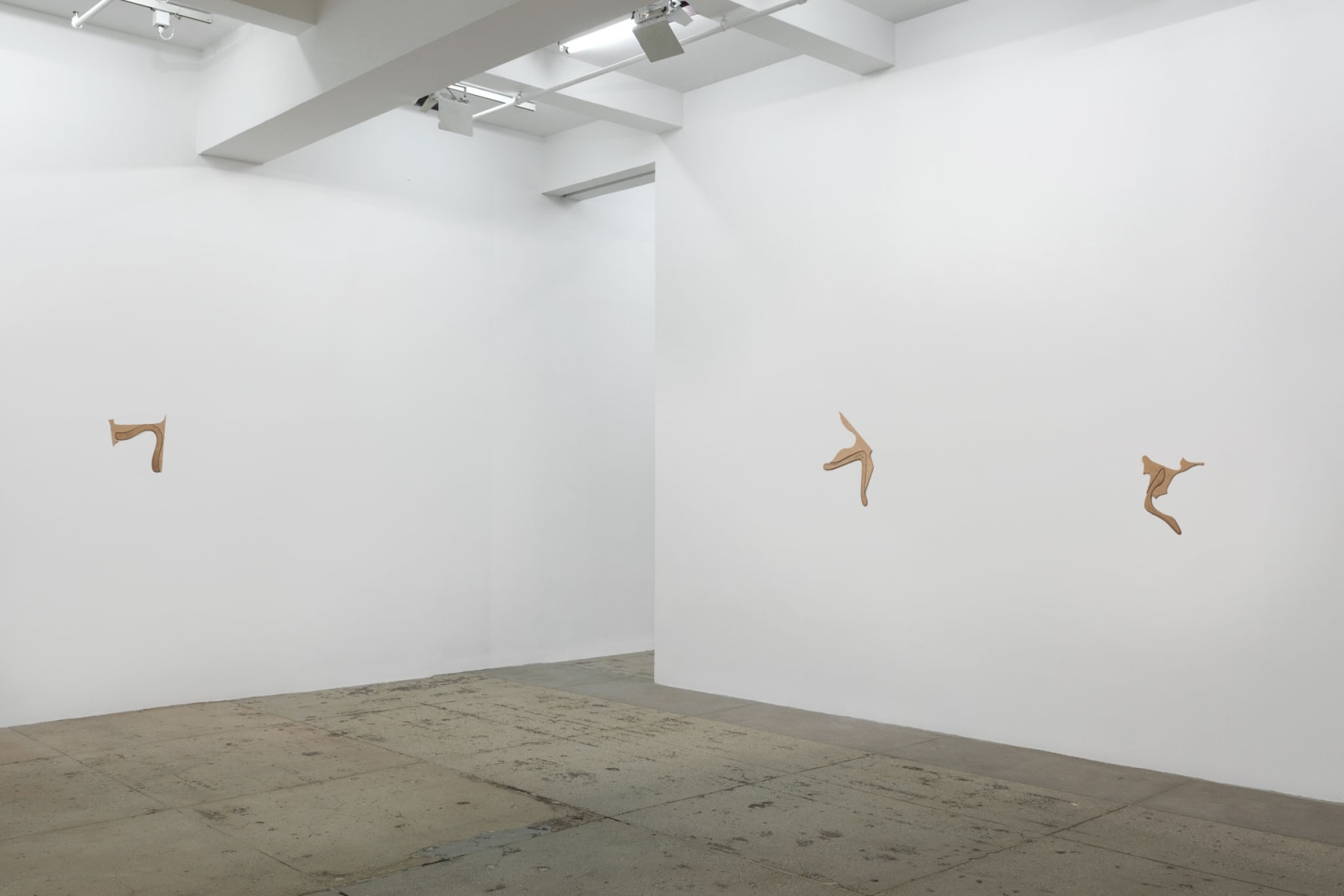An exhibition installation view from: Gabriel Orozco