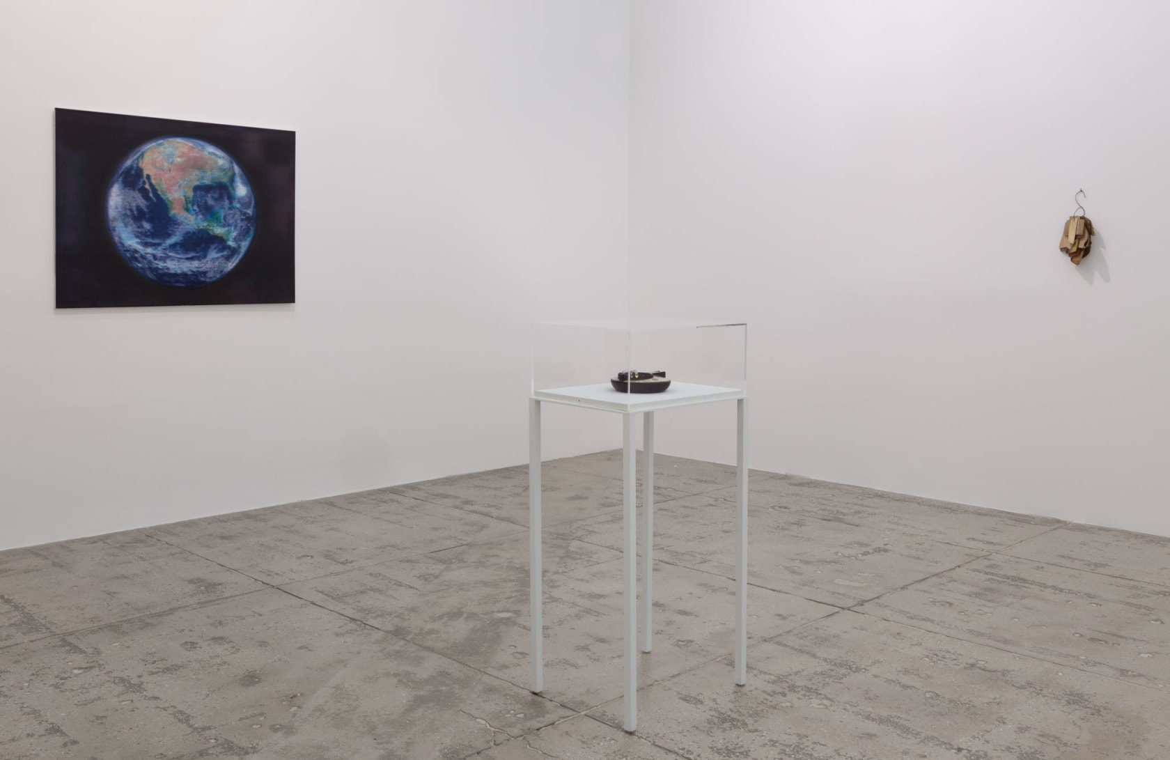 An exhibition installation view from: Gabriel Orozco
