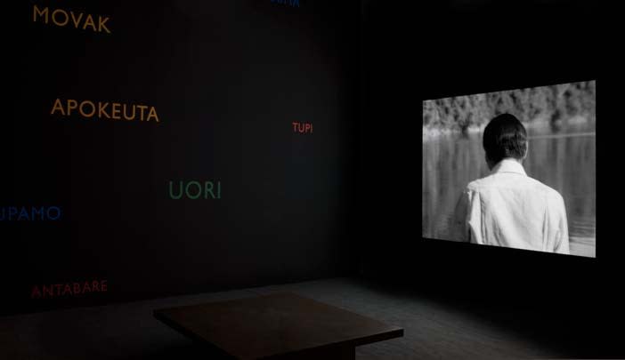 An exhibition installation view from: Lothar Baumgarten, Los Aristócratas de la Selva y la Reina de Castilla