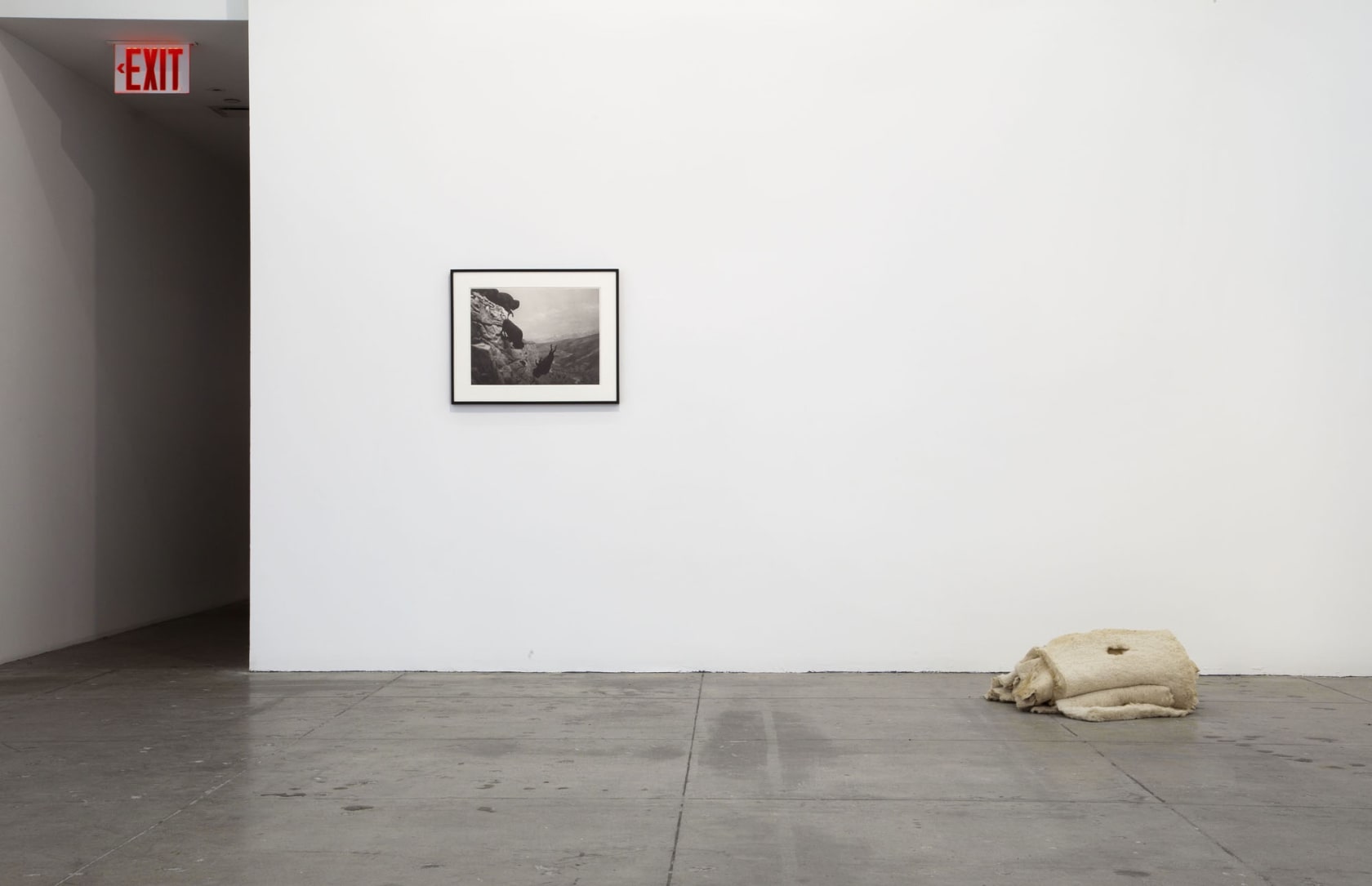 An exhibition installation view from: Danh Vo, Mother Tongue