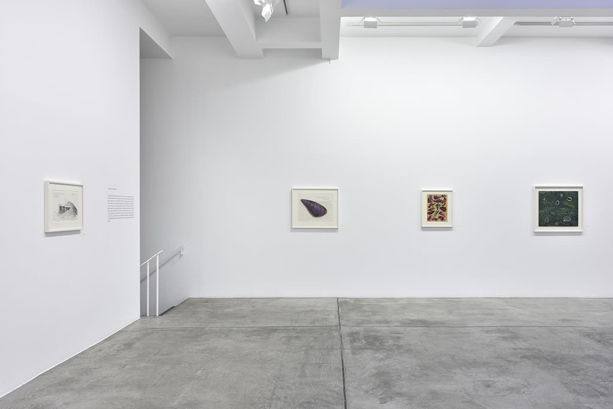 Robert Smithson's drawings installed in Marian Goodman Gallery, Paris
