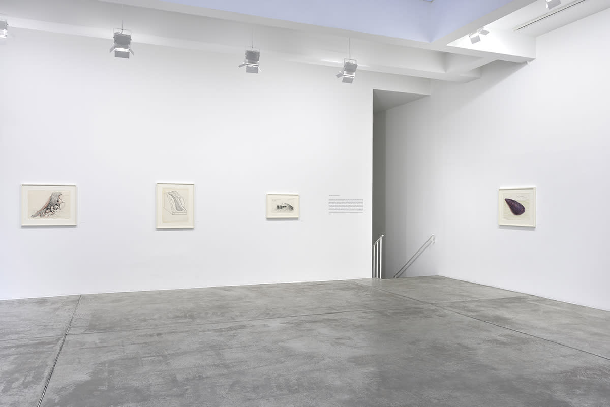 Robert Smithson's drawings installed in Marian Goodman Gallery, Paris
