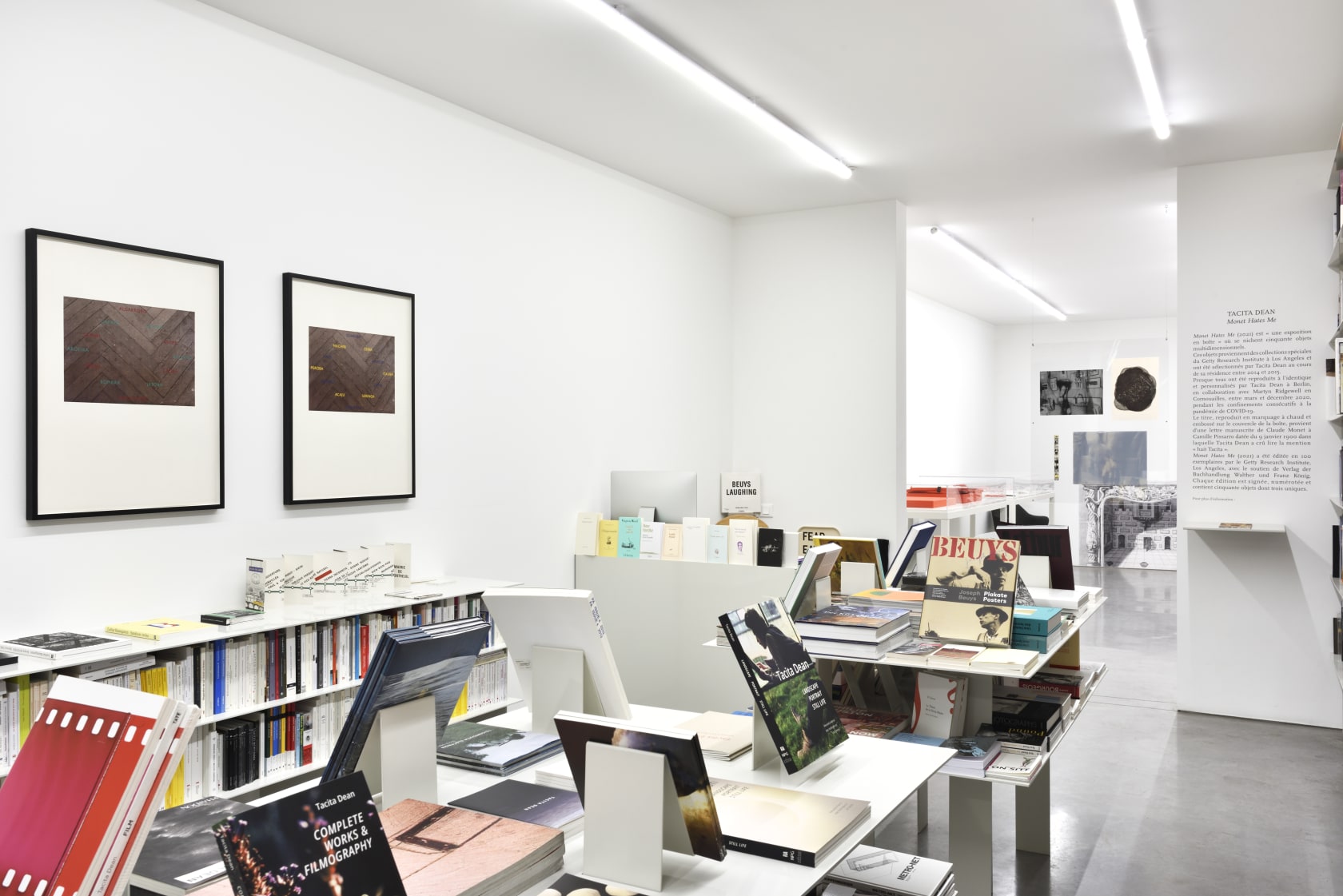 An exhibition installation view from: Tacita Dean, Monet Hates Me