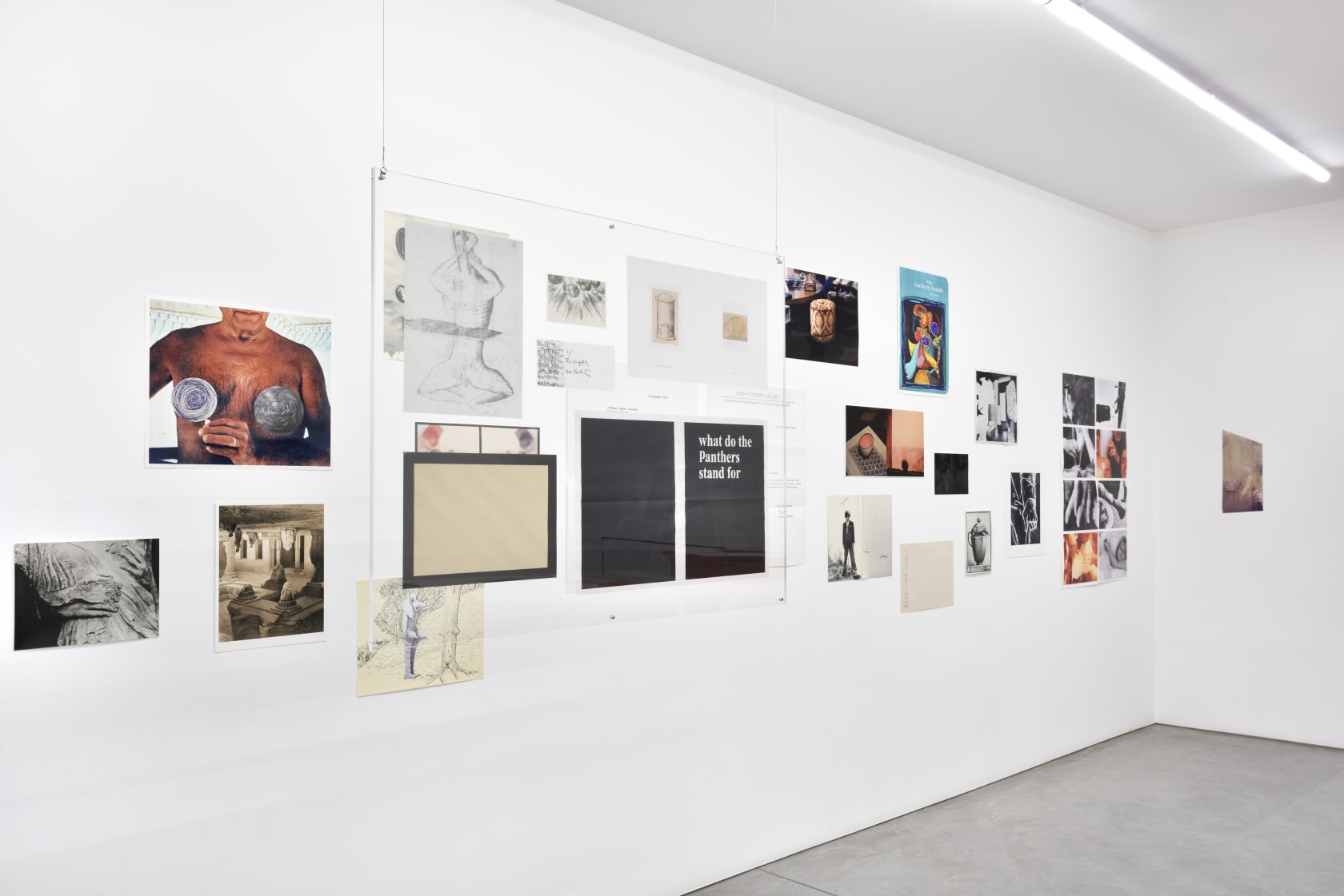 An exhibition installation view from: Tacita Dean, Monet Hates Me