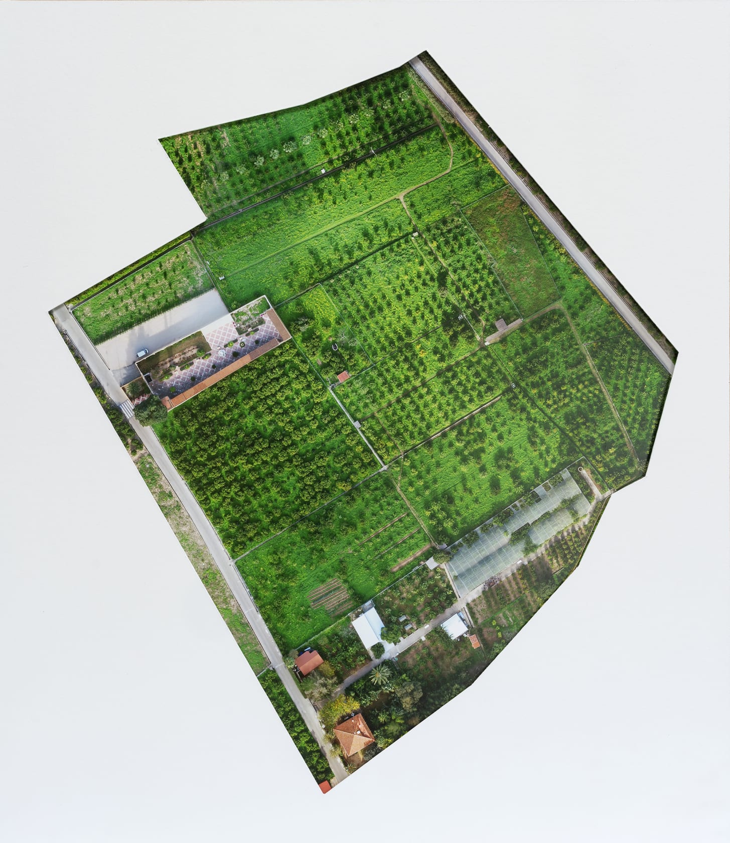 Antoni Muntadas Hort Bartoli/Museu del Citric, 2020 Photograph on die cut cardboard 47 x 54 cm Edition of 32