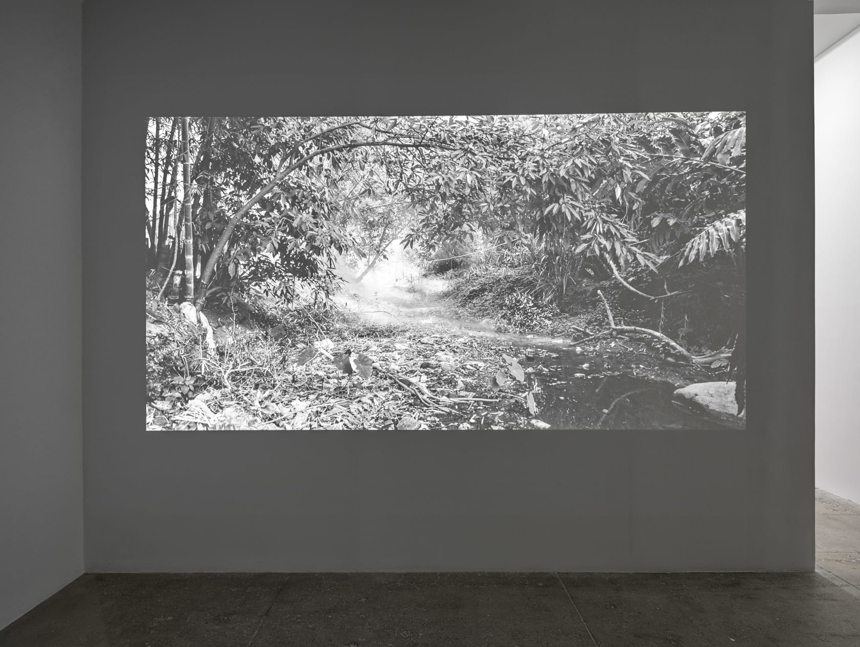 Apichatpong Weerasethakul Vapour, 2015 Digital HD, silent; 21 min.