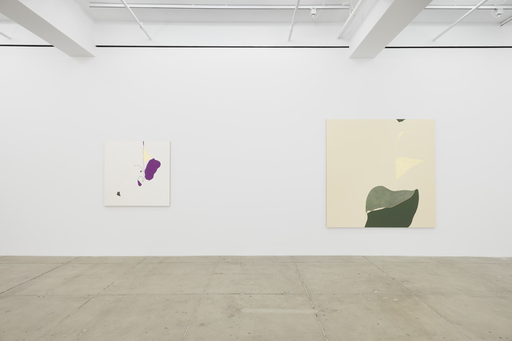 Installation view, Gabriel Orozco, New York