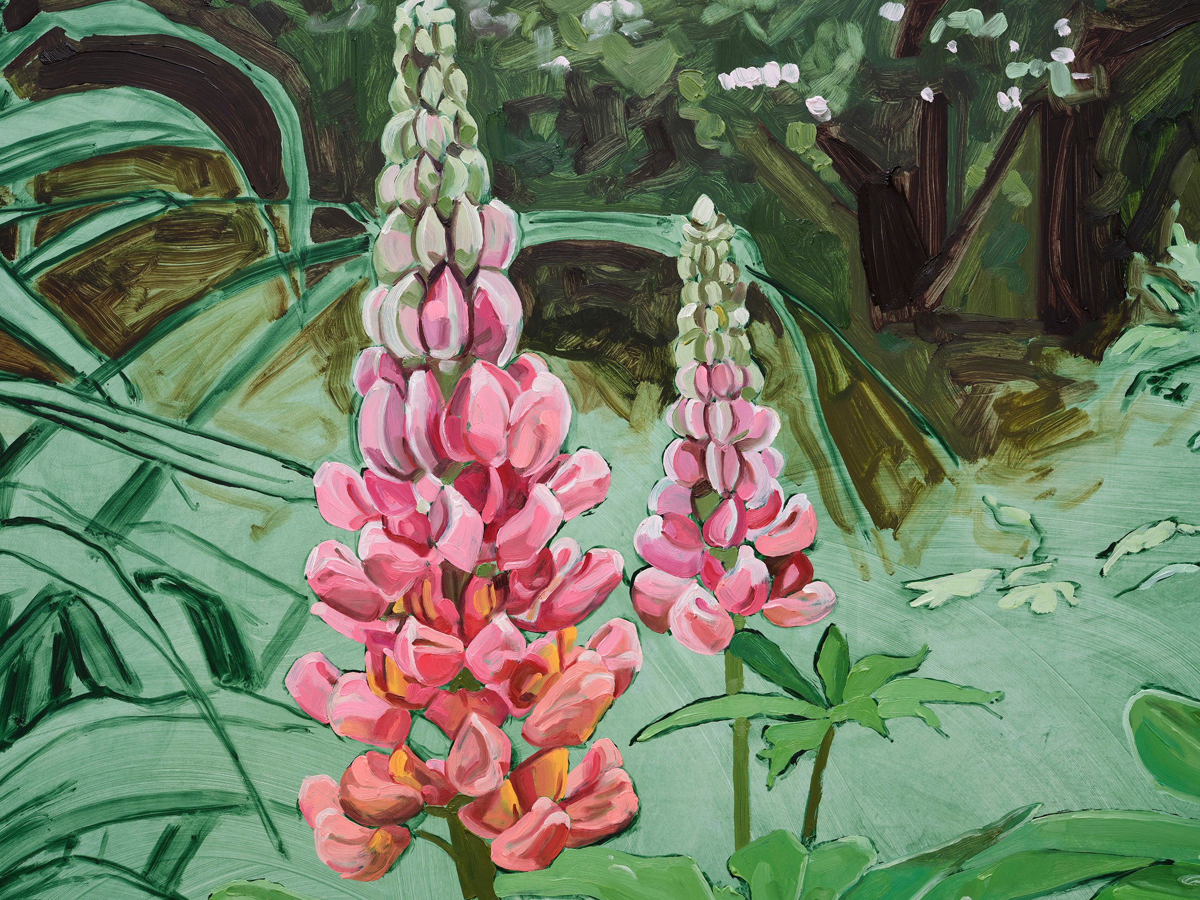 Jordan Casteel Lupine2024 Oil on canvas 127 x 101.6 x 3.6 cm 50 x 40 x 1 3/8 in
