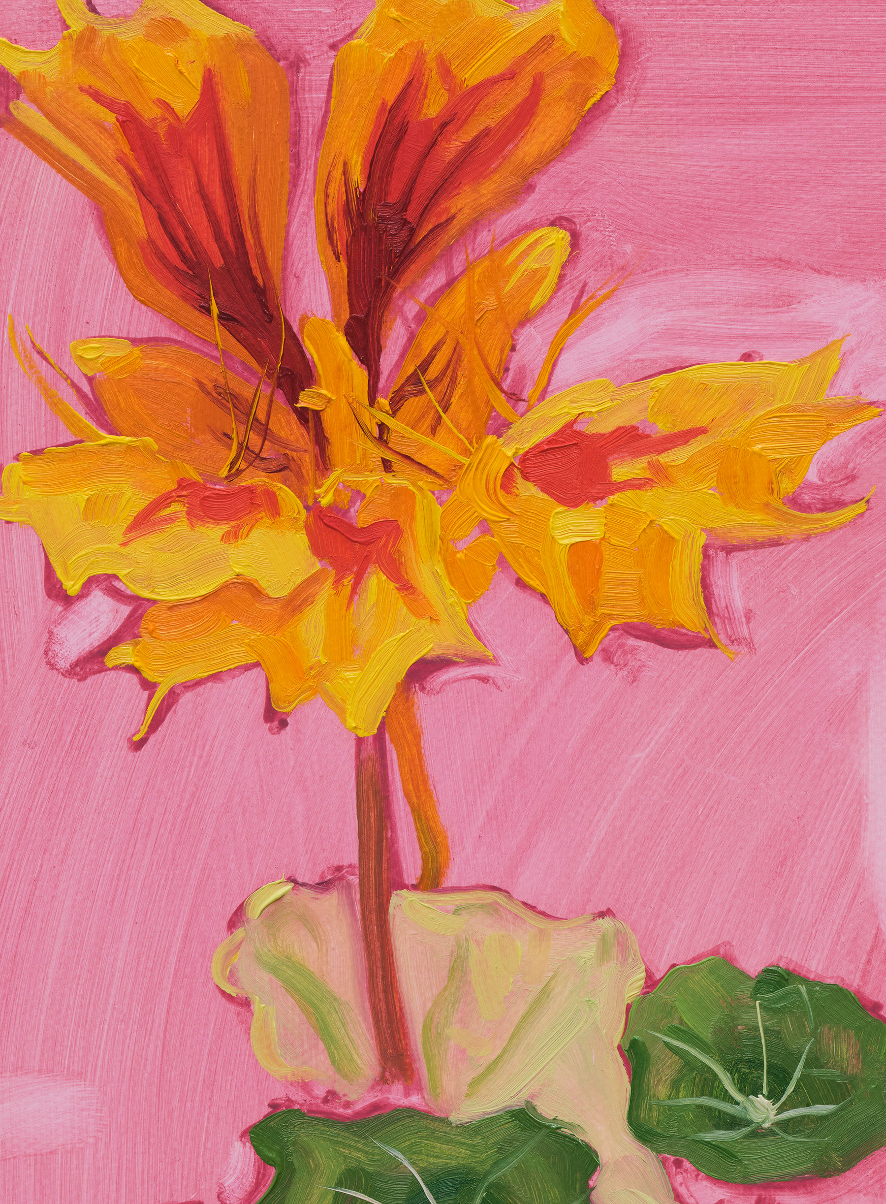 Jordan Casteel Phoenix2024 Oil on canvas 30.5 x 22.9 x 1.9 cm 12 x 9 x 3/4 in