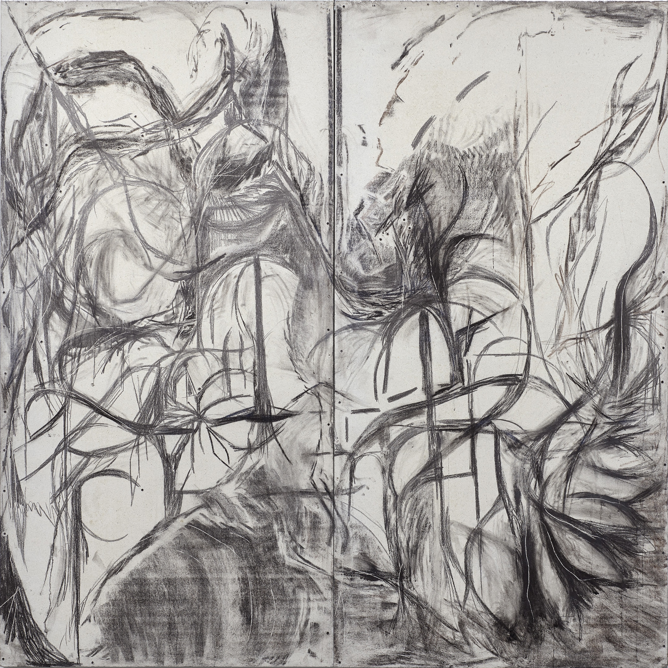 Peppi Bottrop, cliffs and ceader tops, 2020