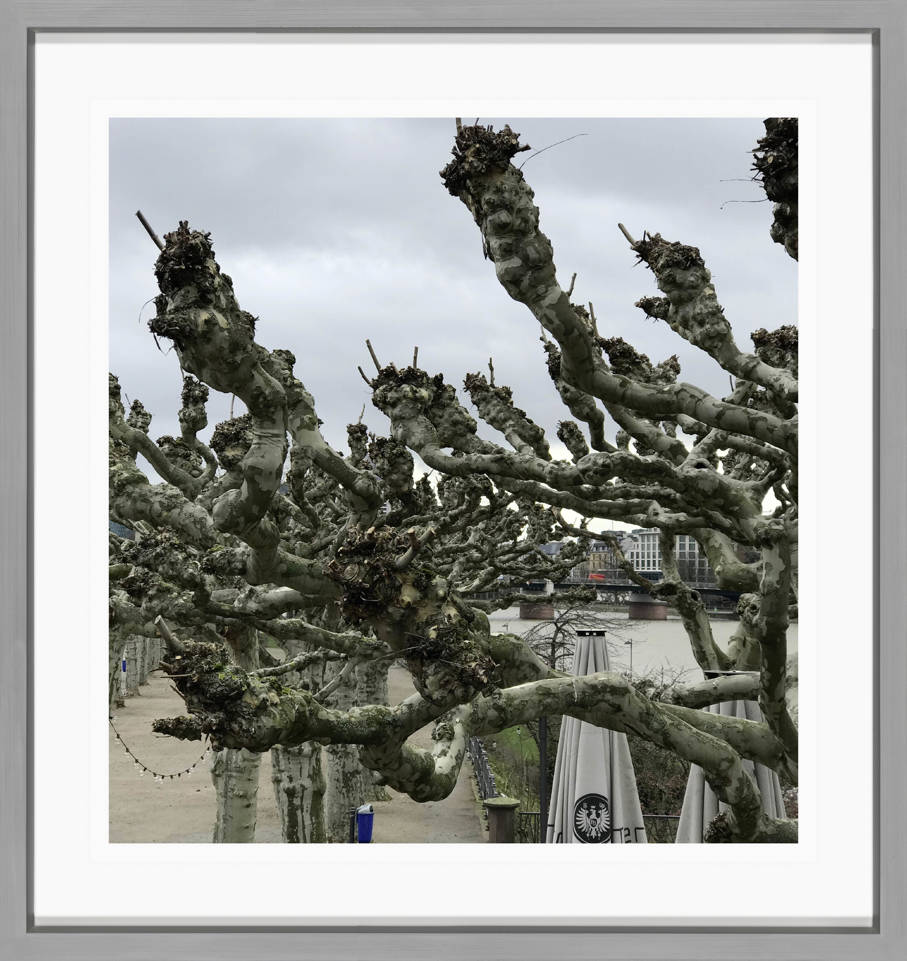 Sabine Moritz 20/02/20202020 Colour Photograph on paper 21 x 20 cm 8 1/4 x 7 7/8 in