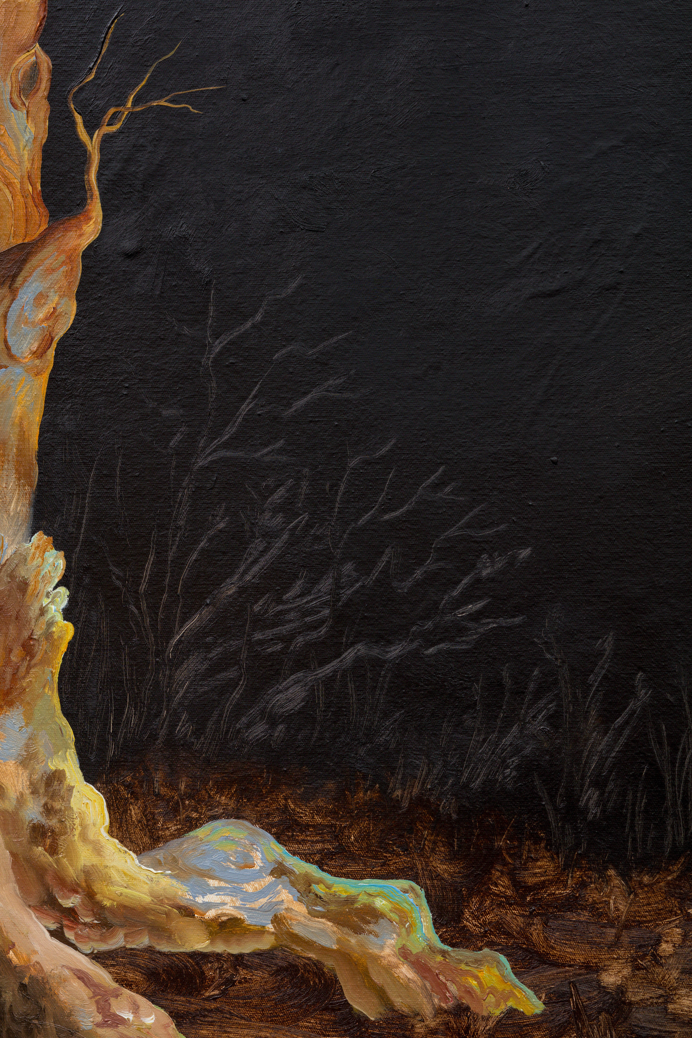 Kat Lyons, Elegy in Light, 2023