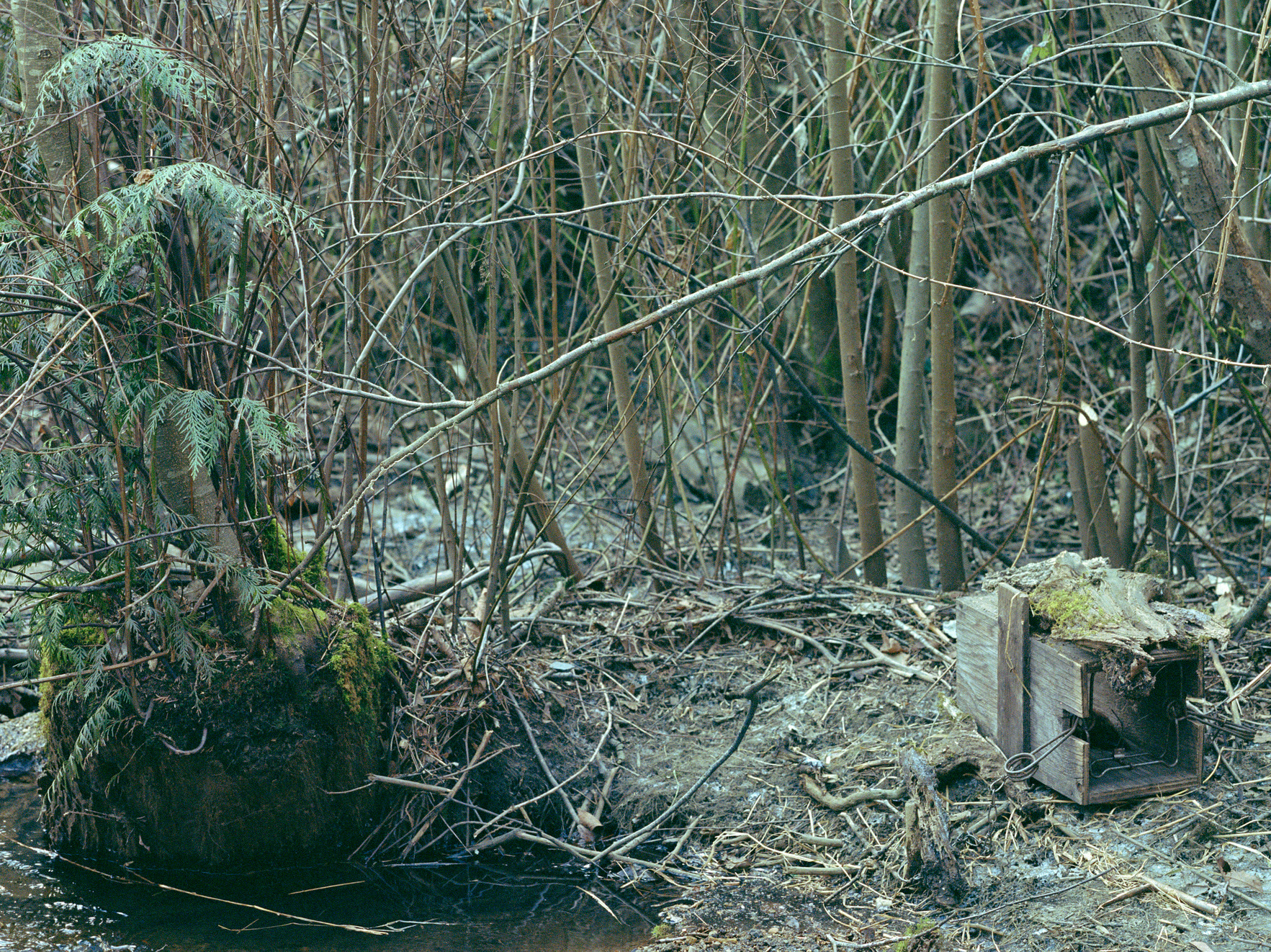 Jeff Wall Trap set2021 Inkjet print 166 x 180 x 6.9 cm 65 3/8 x 70 7/8 x 2 3/4...