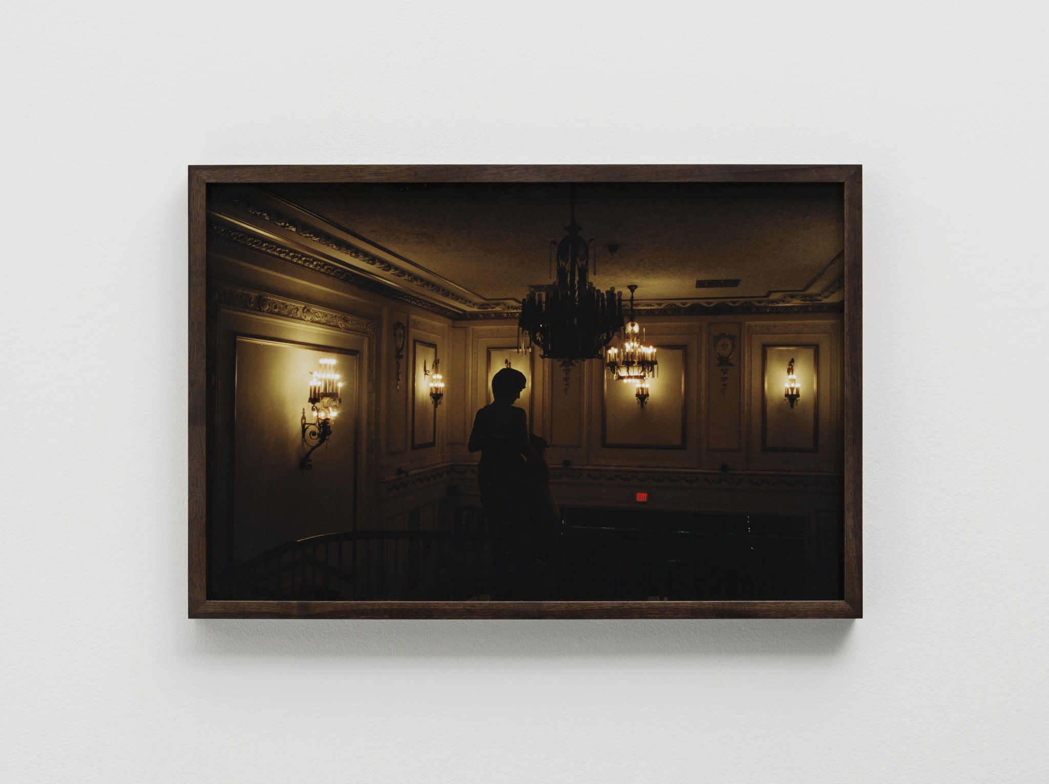 John Skoog, Lobby Orpheus, the Orpheum, Madison, WI, 2010-2015