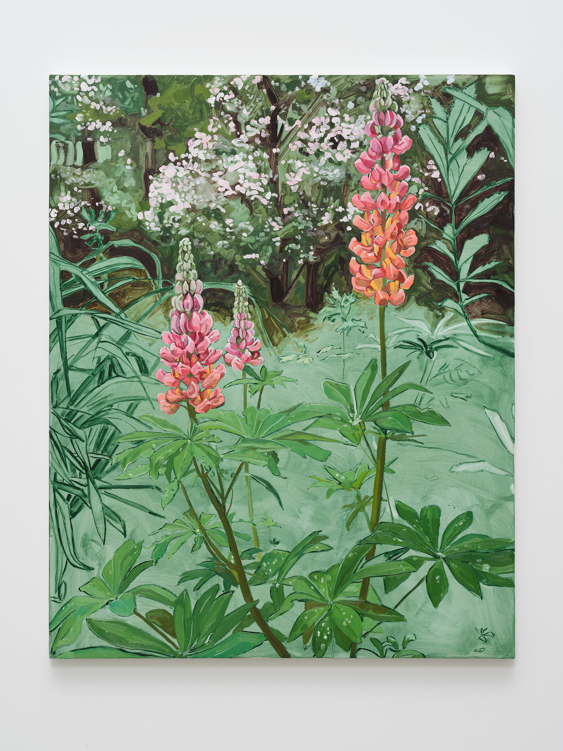 Jordan Casteel Lupine2024 Oil on canvas 127 x 101.6 x 3.6 cm 50 x 40 x 1 3/8 in