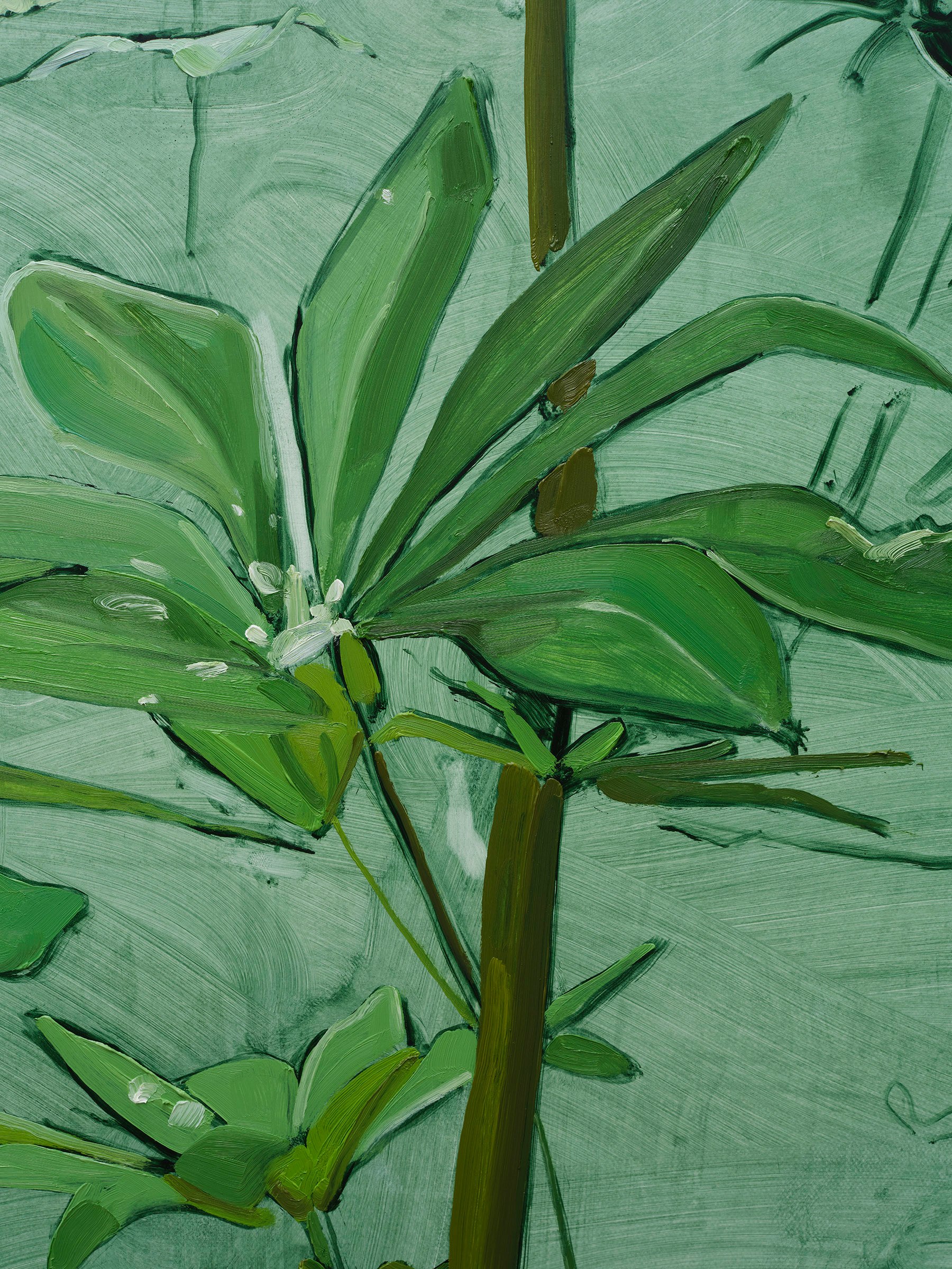 Jordan Casteel Lupine2024 Oil on canvas 127 x 101.6 x 3.6 cm 50 x 40 x 1 3/8 in