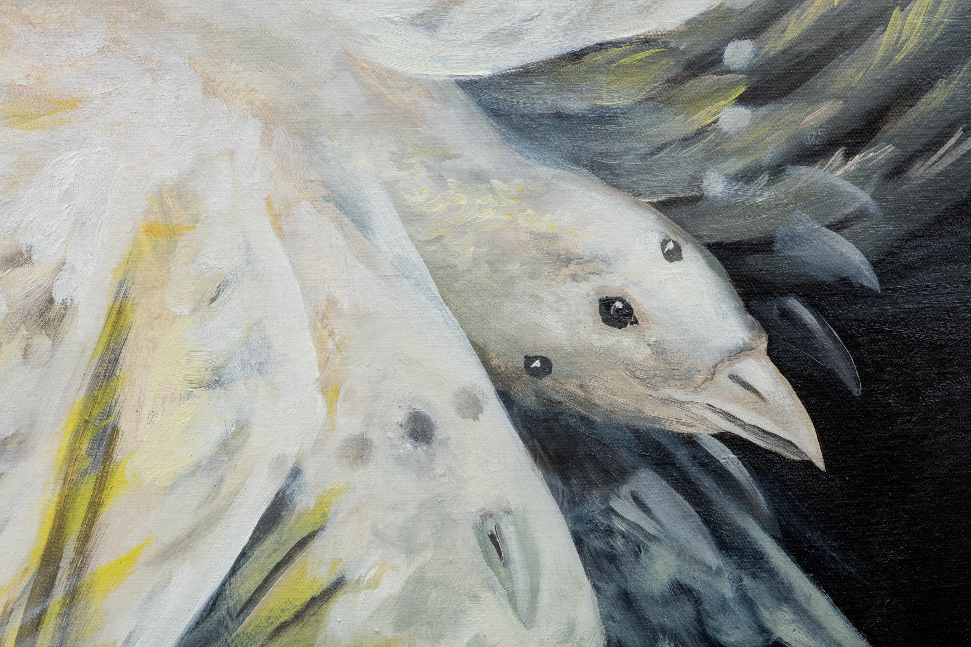 Kat Lyons, Elegy in Light, 2023
